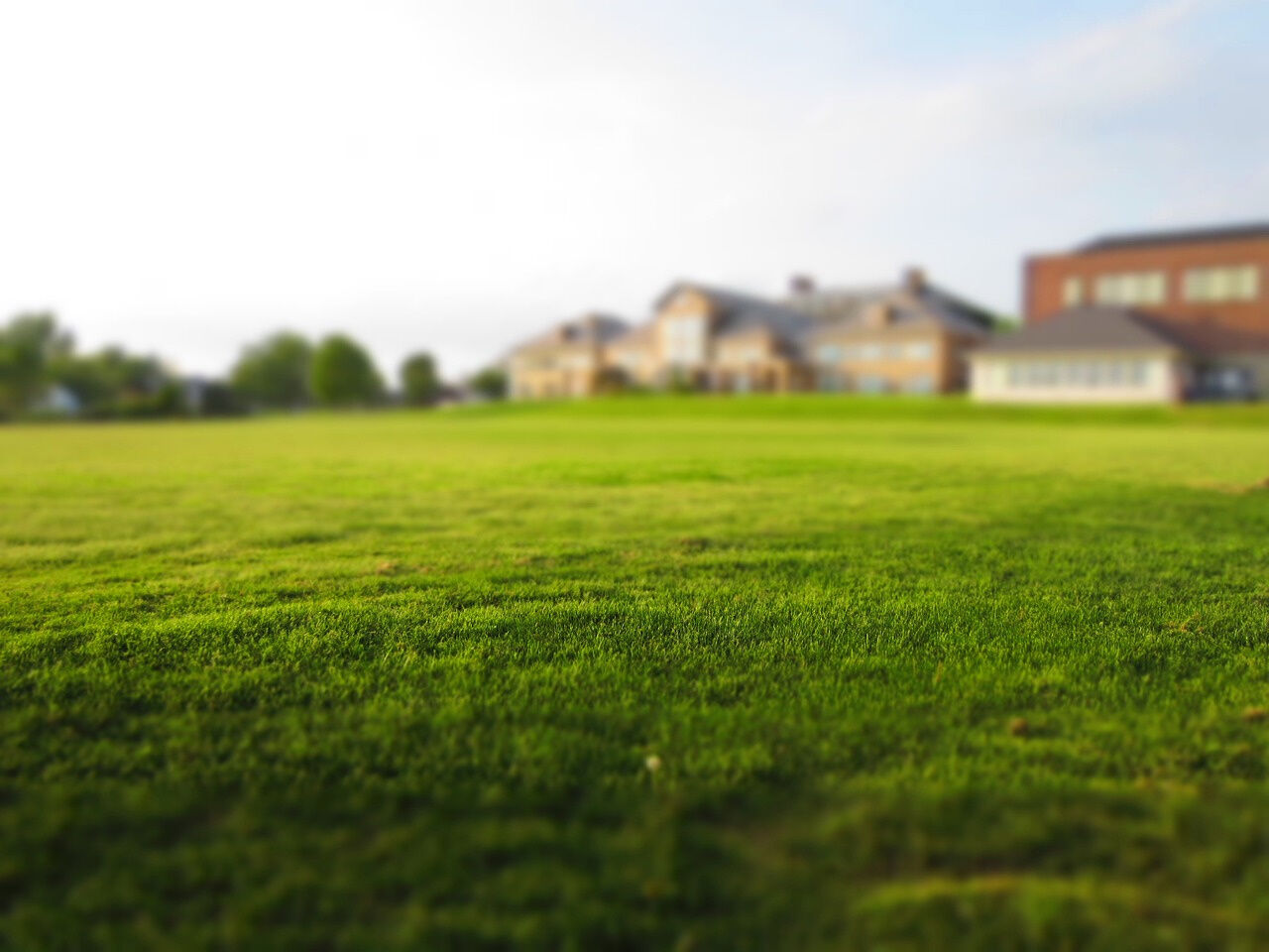 Agence immobilière de TOTAIN Kévin