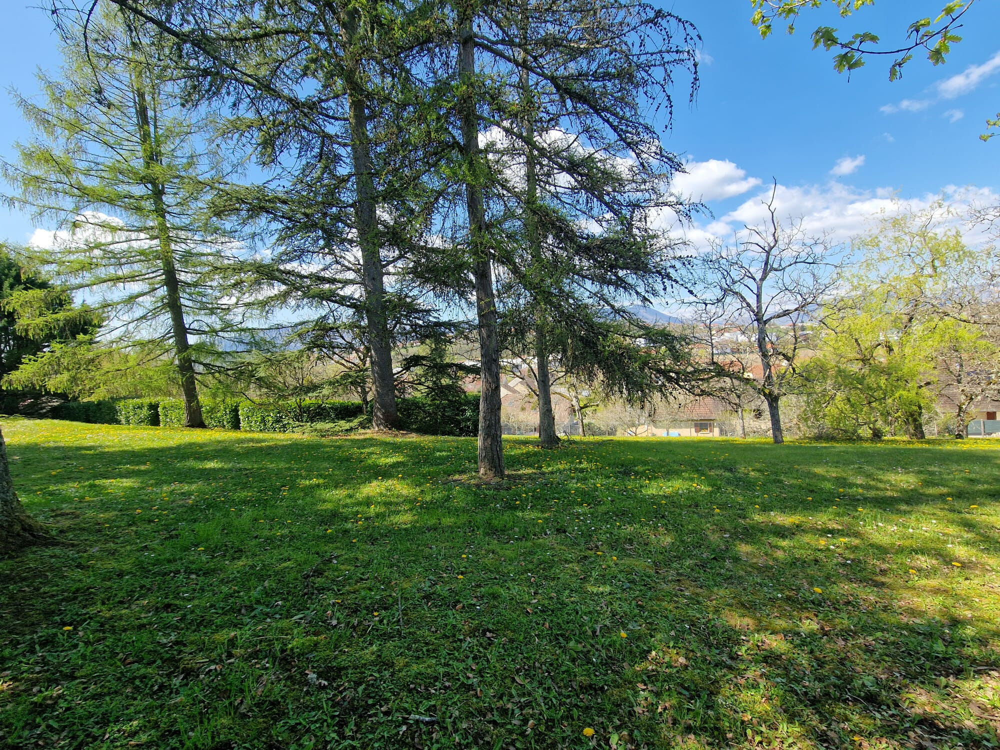 Agence immobilière de LACHIZE Raphael