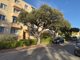 Agence immobilière de ELYOTT - IMMOBILIER