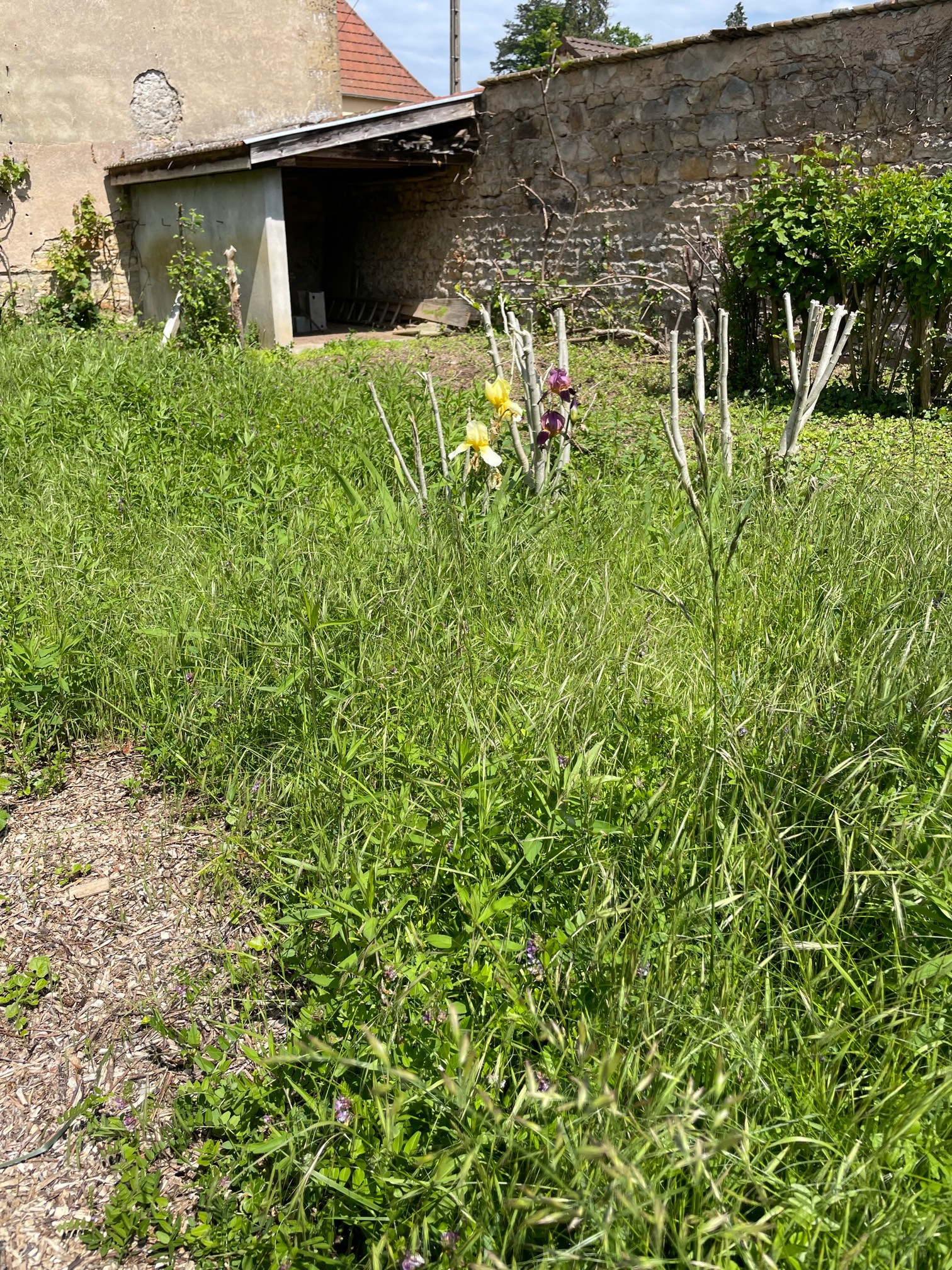 vente maison/villa 71800 La Clayette