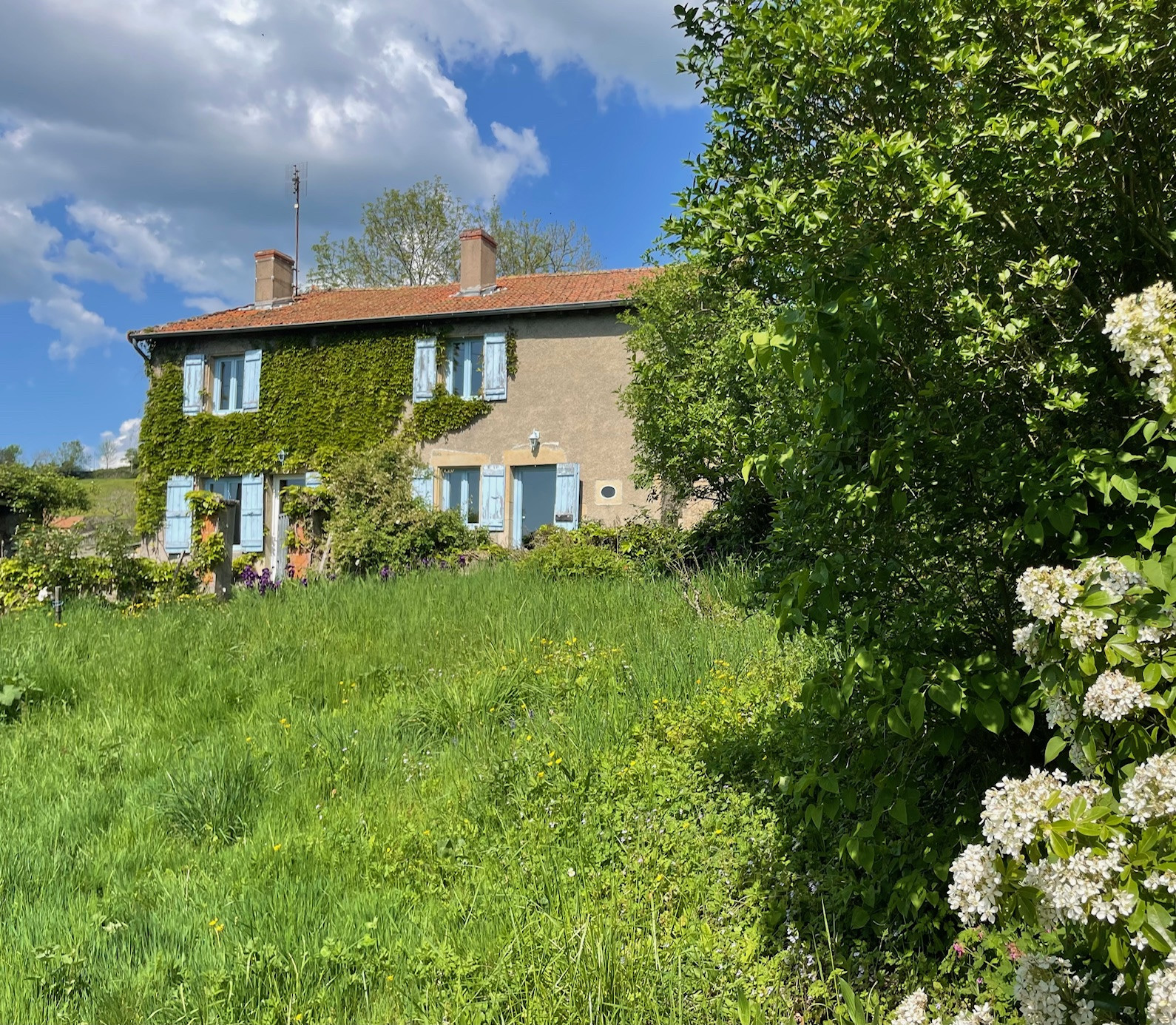 Agence immobilière de XAVIER GUYOT
