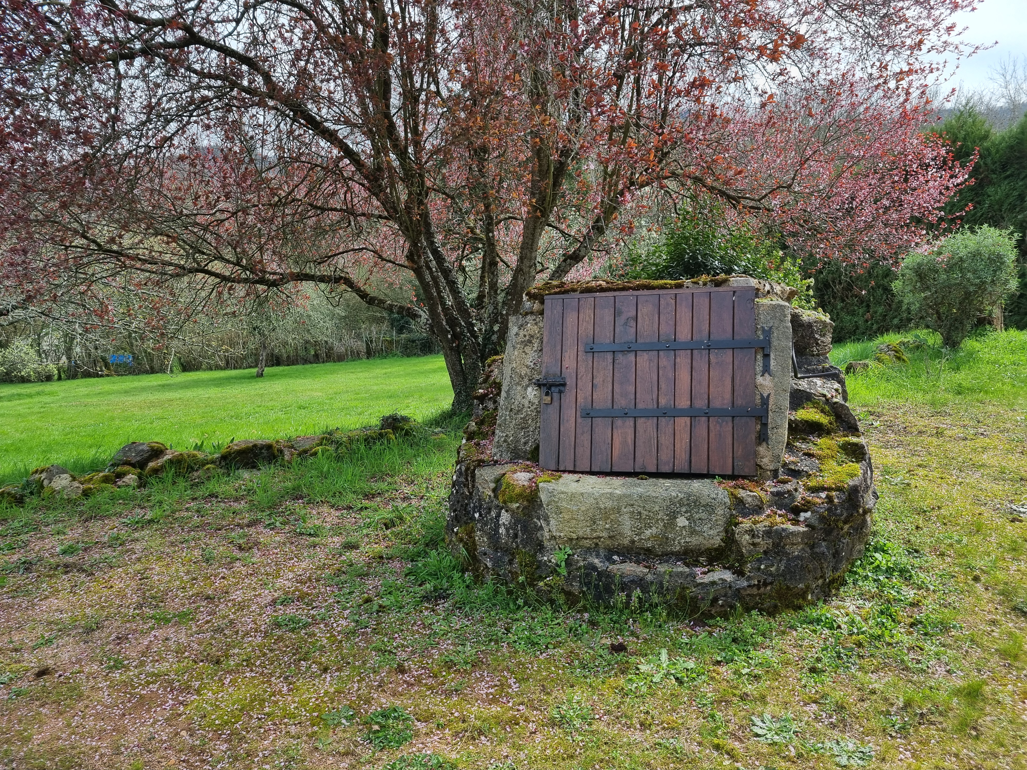 vente maison/villa 71520 Dompierre-les-Ormes