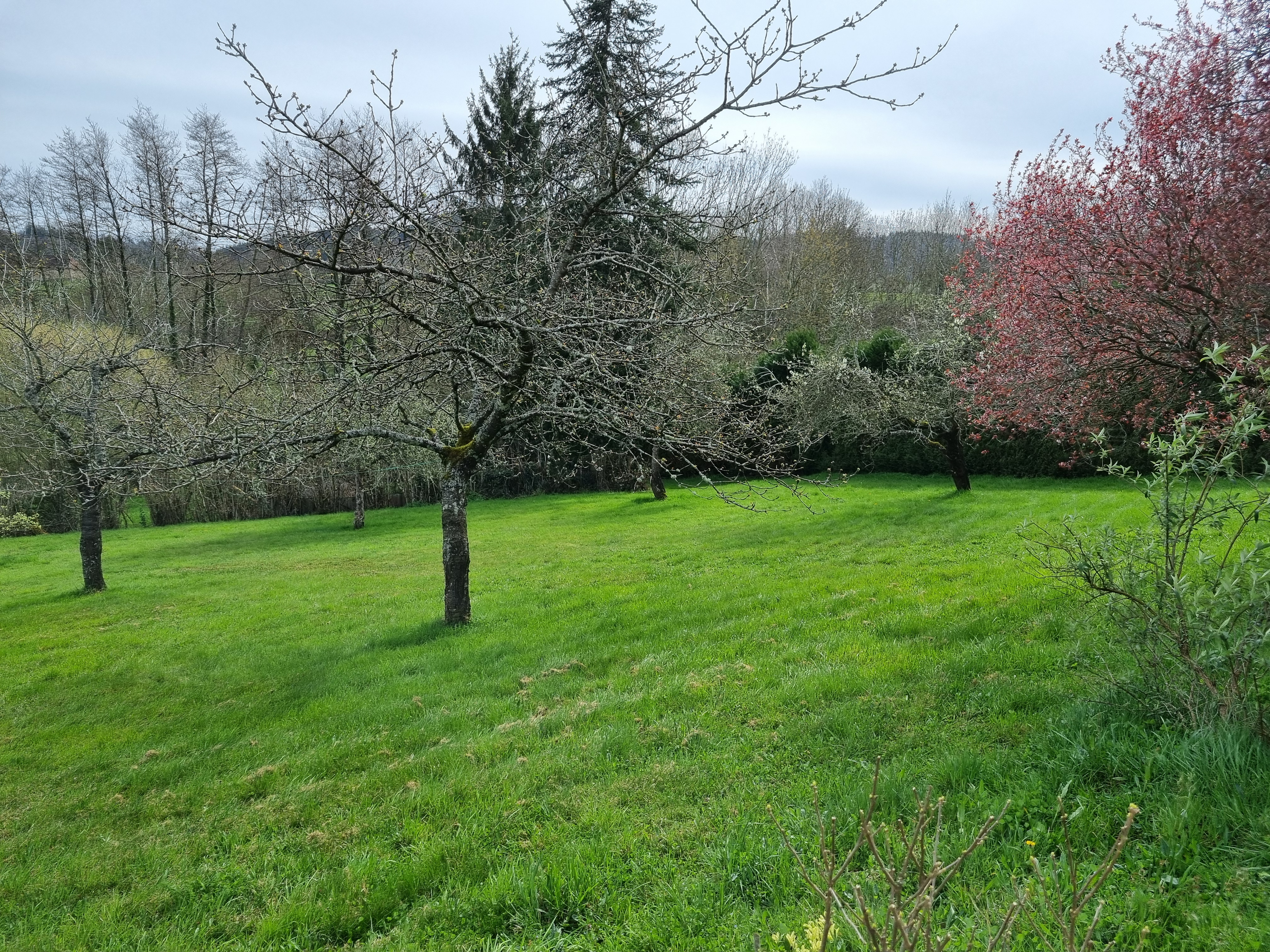 vente maison/villa 71520 Dompierre-les-Ormes