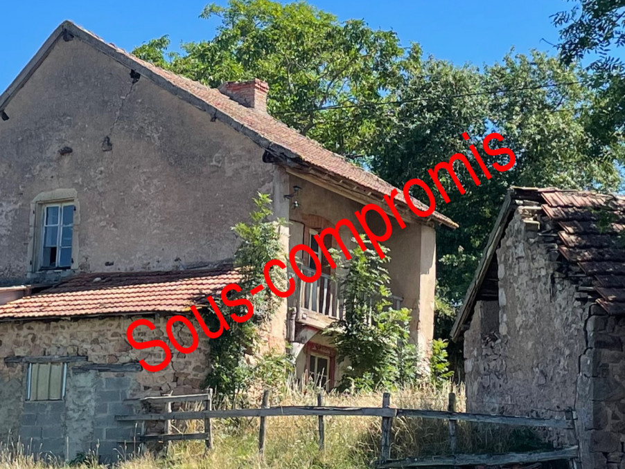 vente maison/villa 71800 Gibles