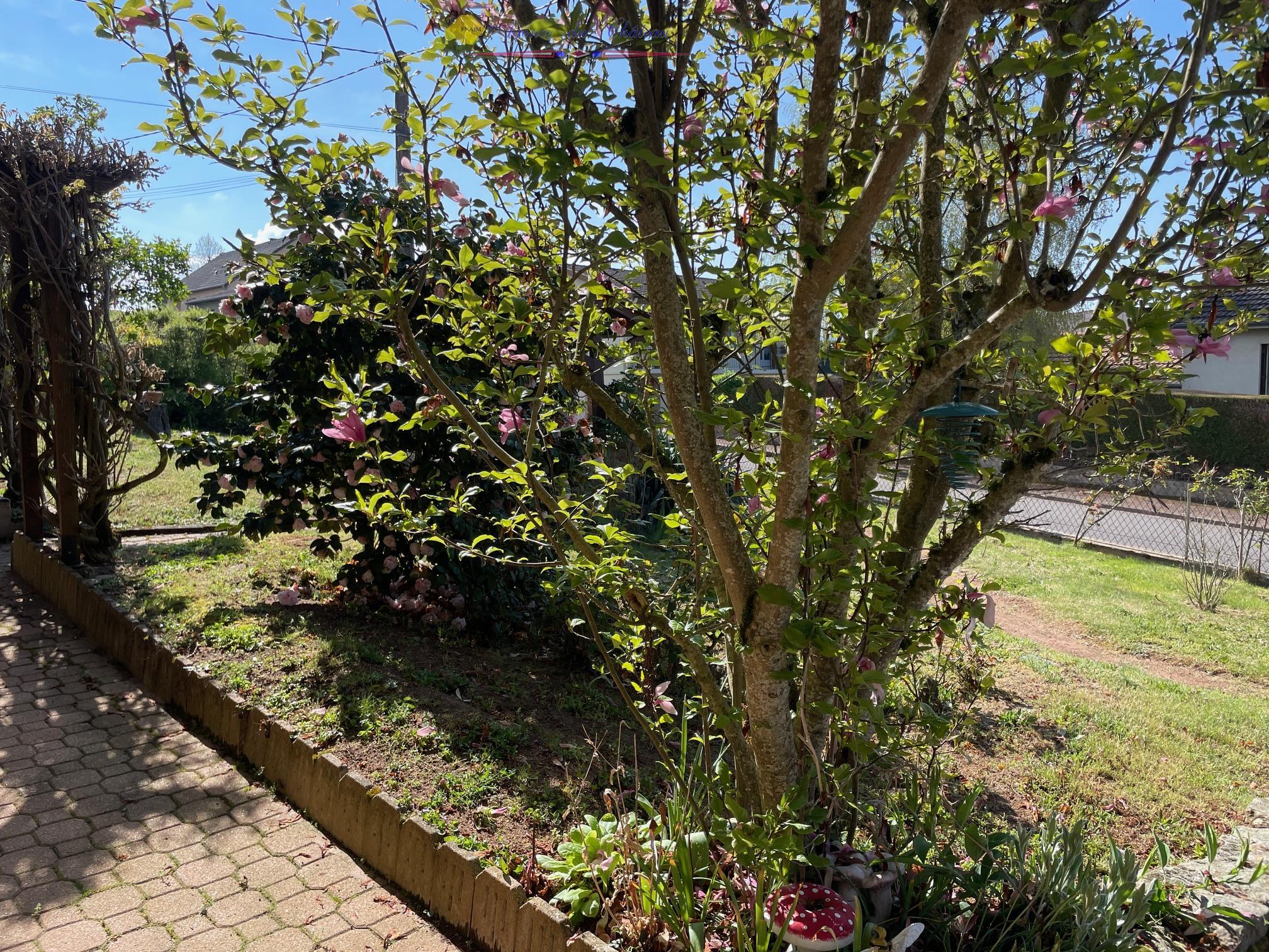 vente maison/villa 71800 La Clayette