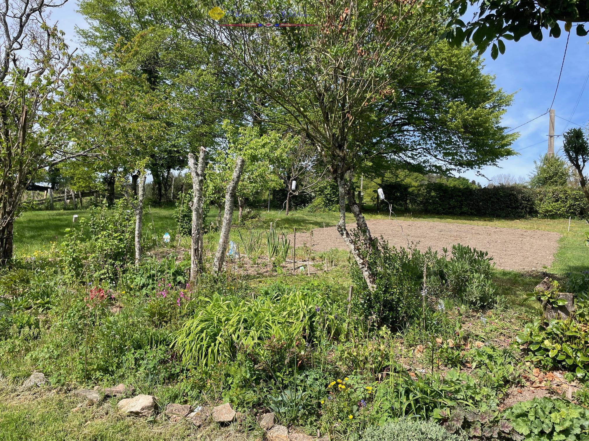 vente maison/villa 71170 Chauffailles