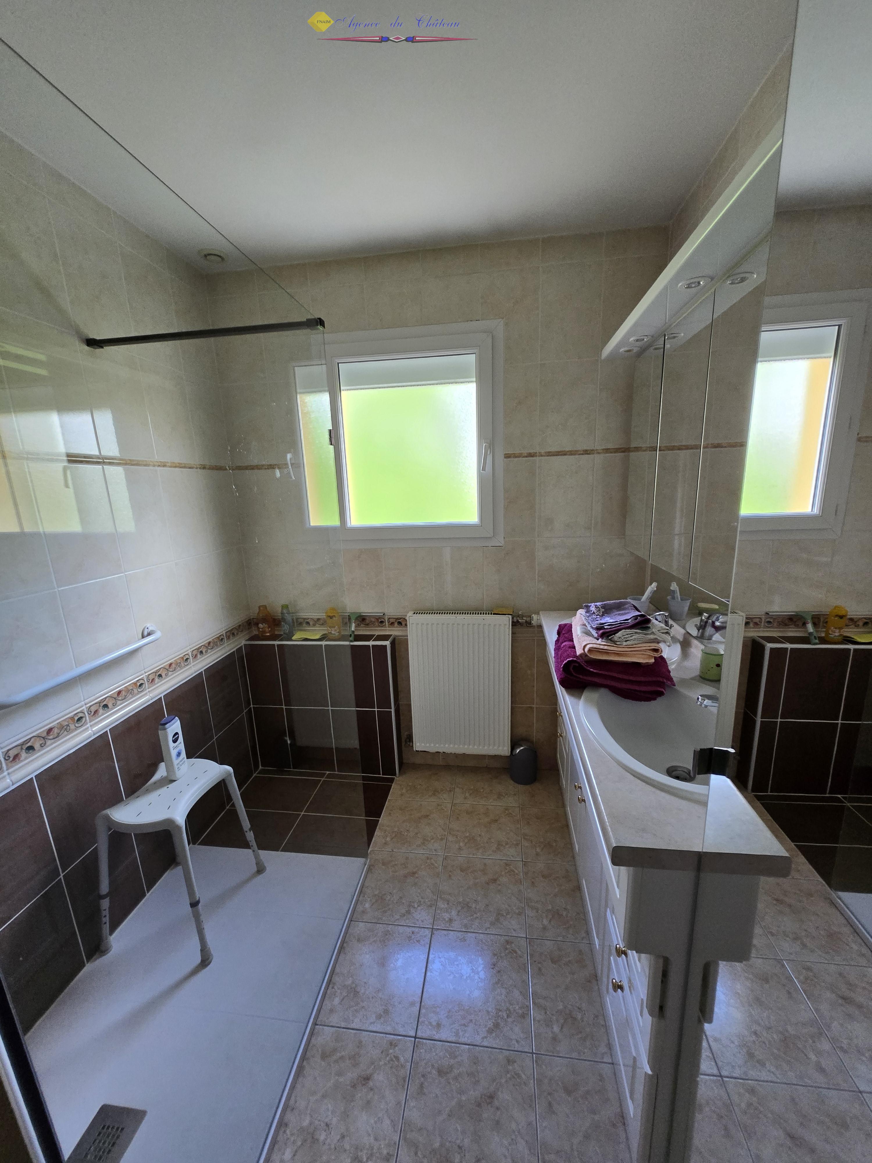 vente maison/villa 71800 Baudemont