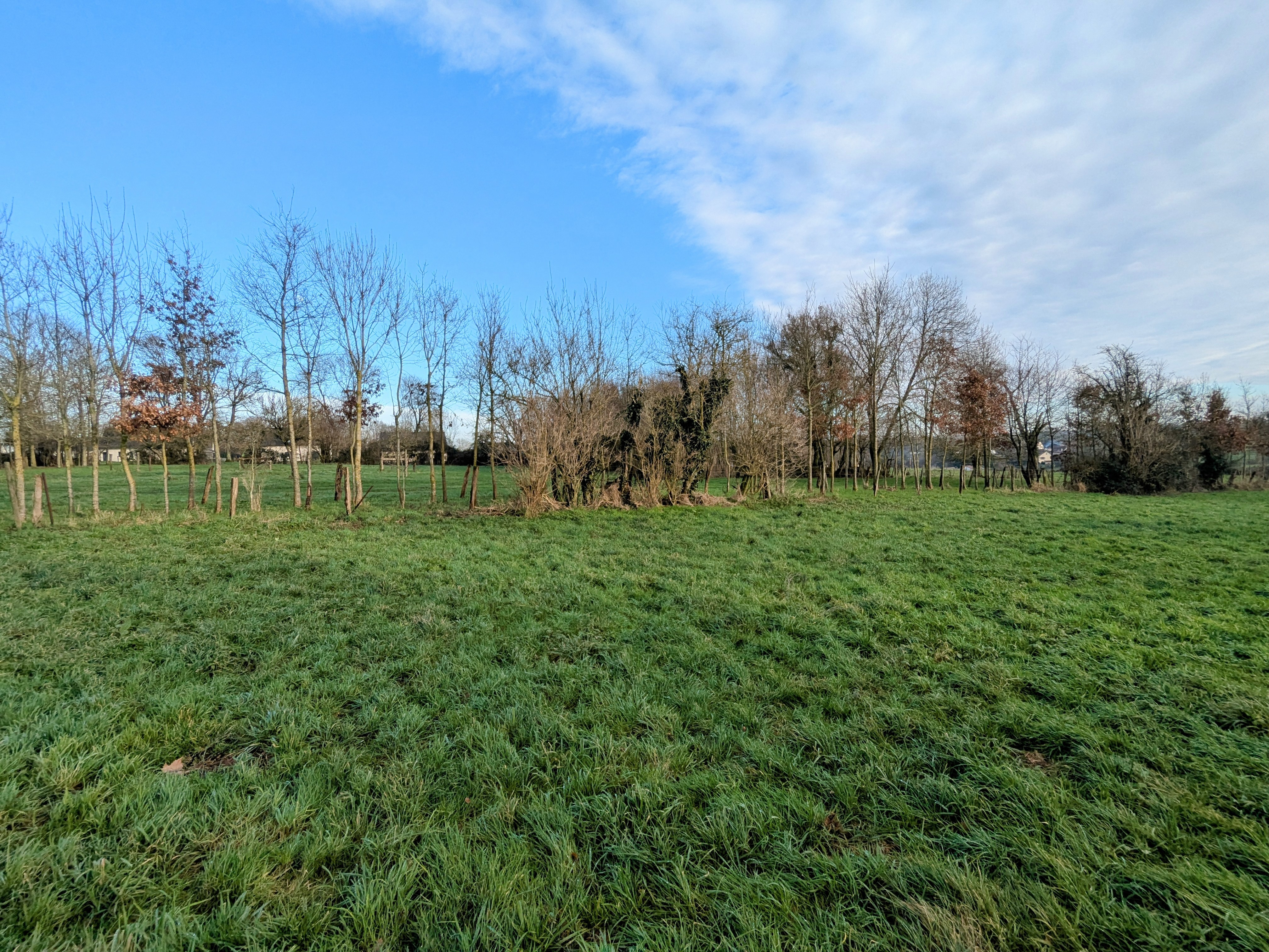 Agence immobilière de Doyen Eric