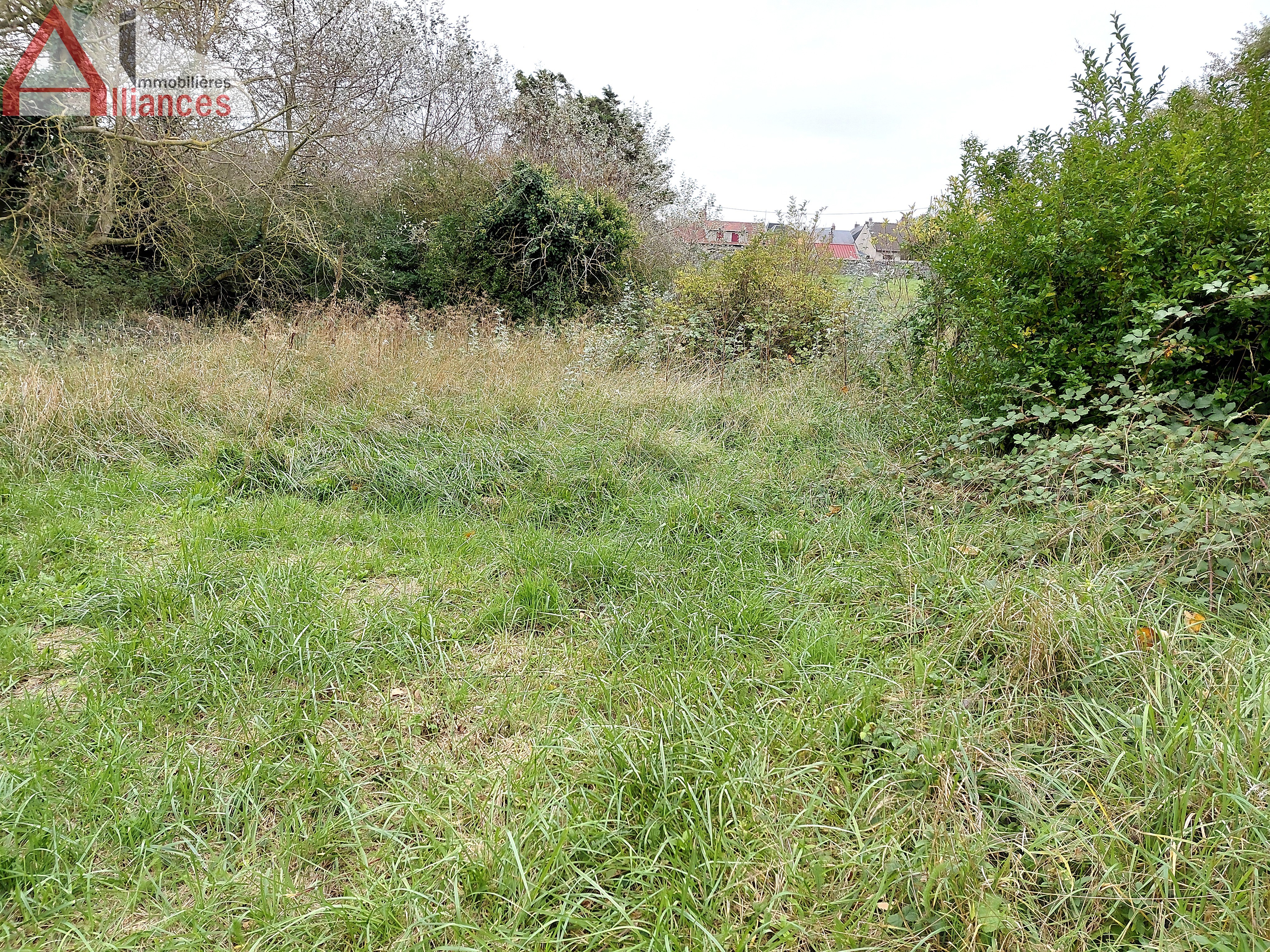 Agence immobilière de Doyen Eric