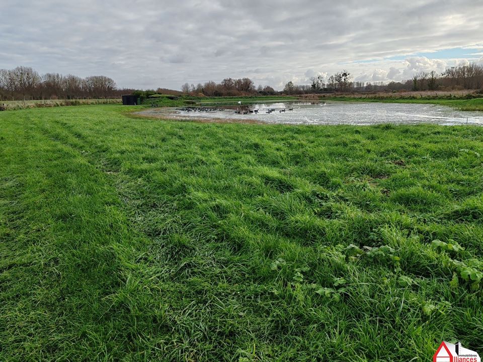 Agence immobilière de Doyen Eric