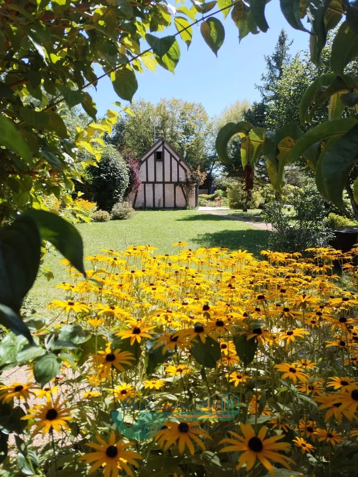 Agence immobilière de Romain WEGMANN         E.I.