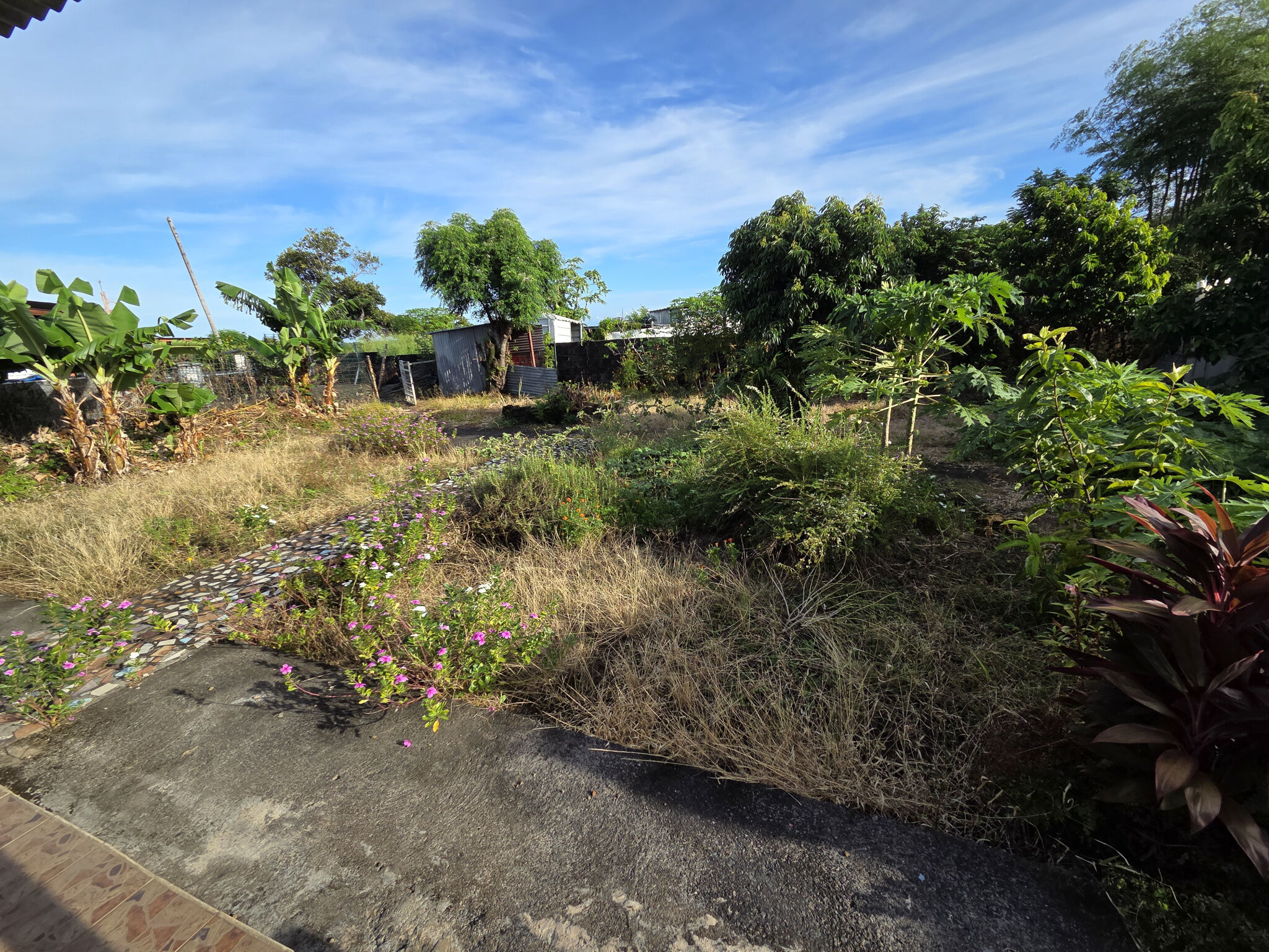 Agence immobilière de CARRON Daniel