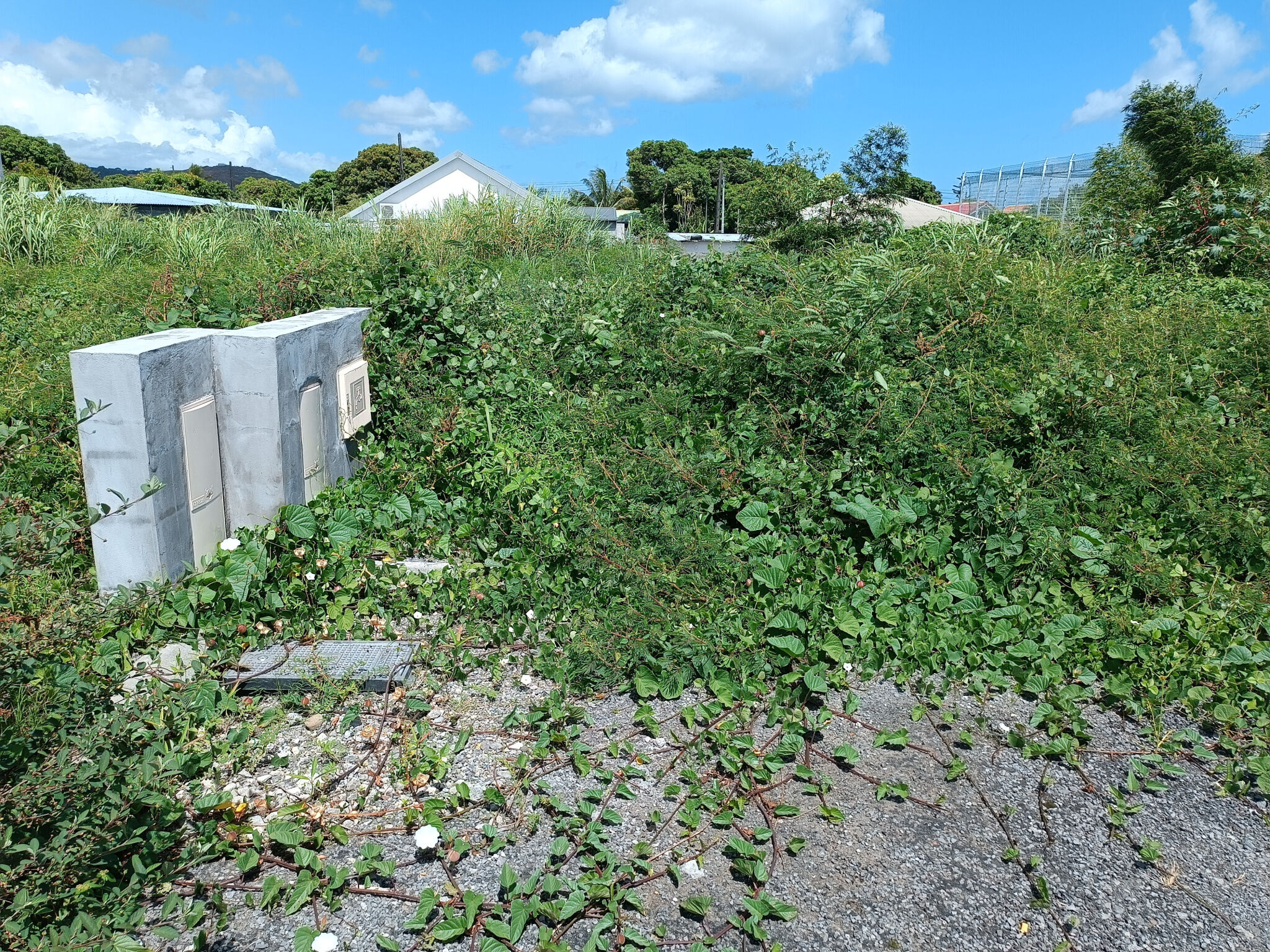 Agence immobilière de CARRON Daniel