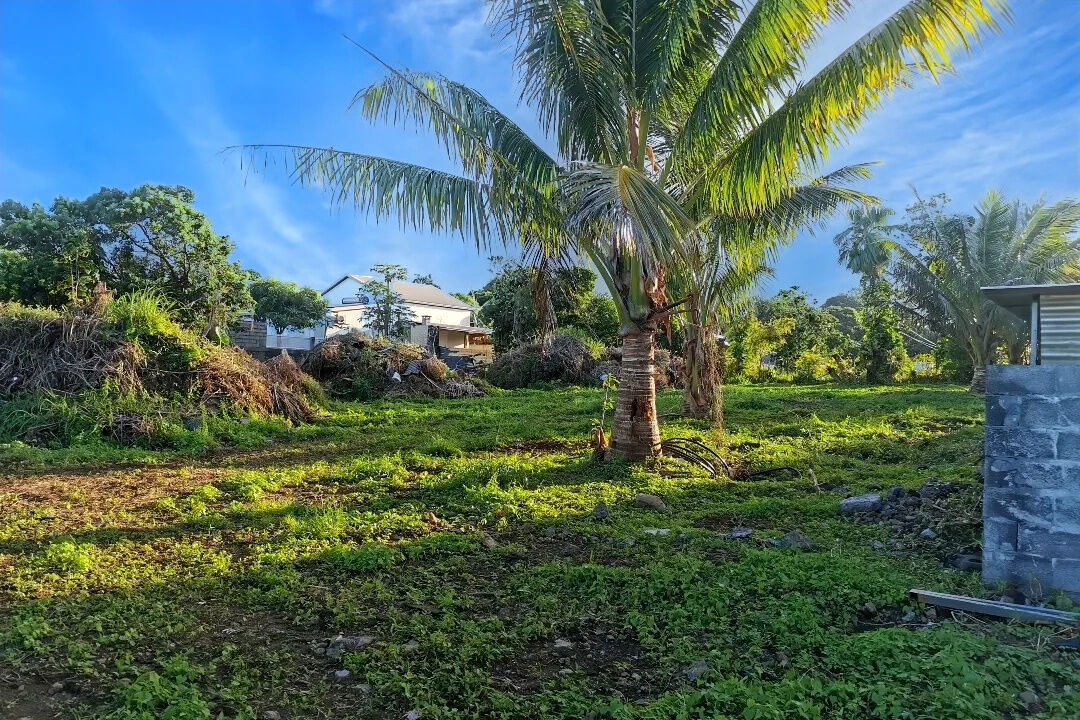 Agence immobilière de CARRON Daniel