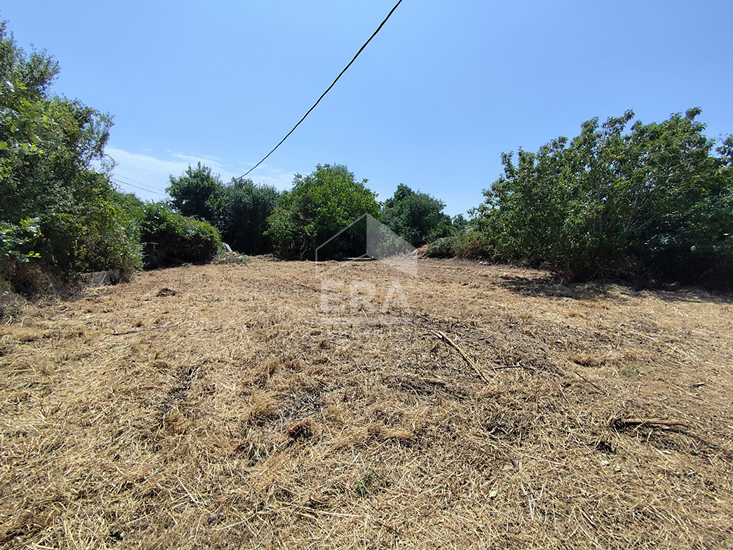 Agence immobilière de ERA BUY & SELL