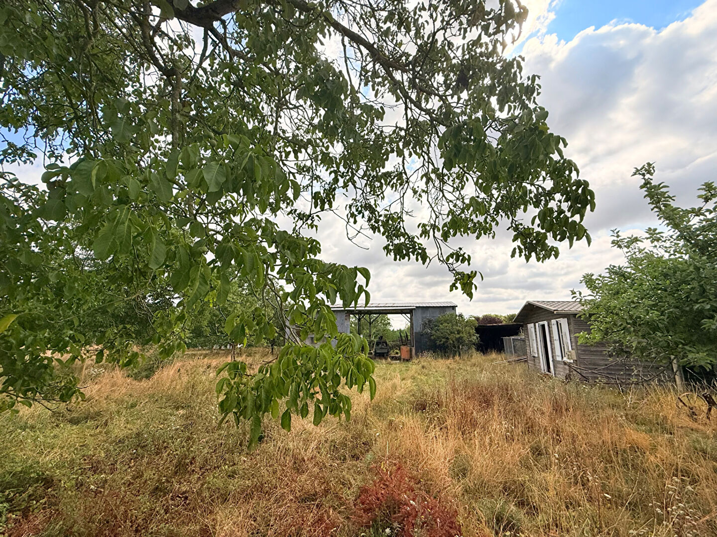 Agence immobilière de ERA BUY & SELL