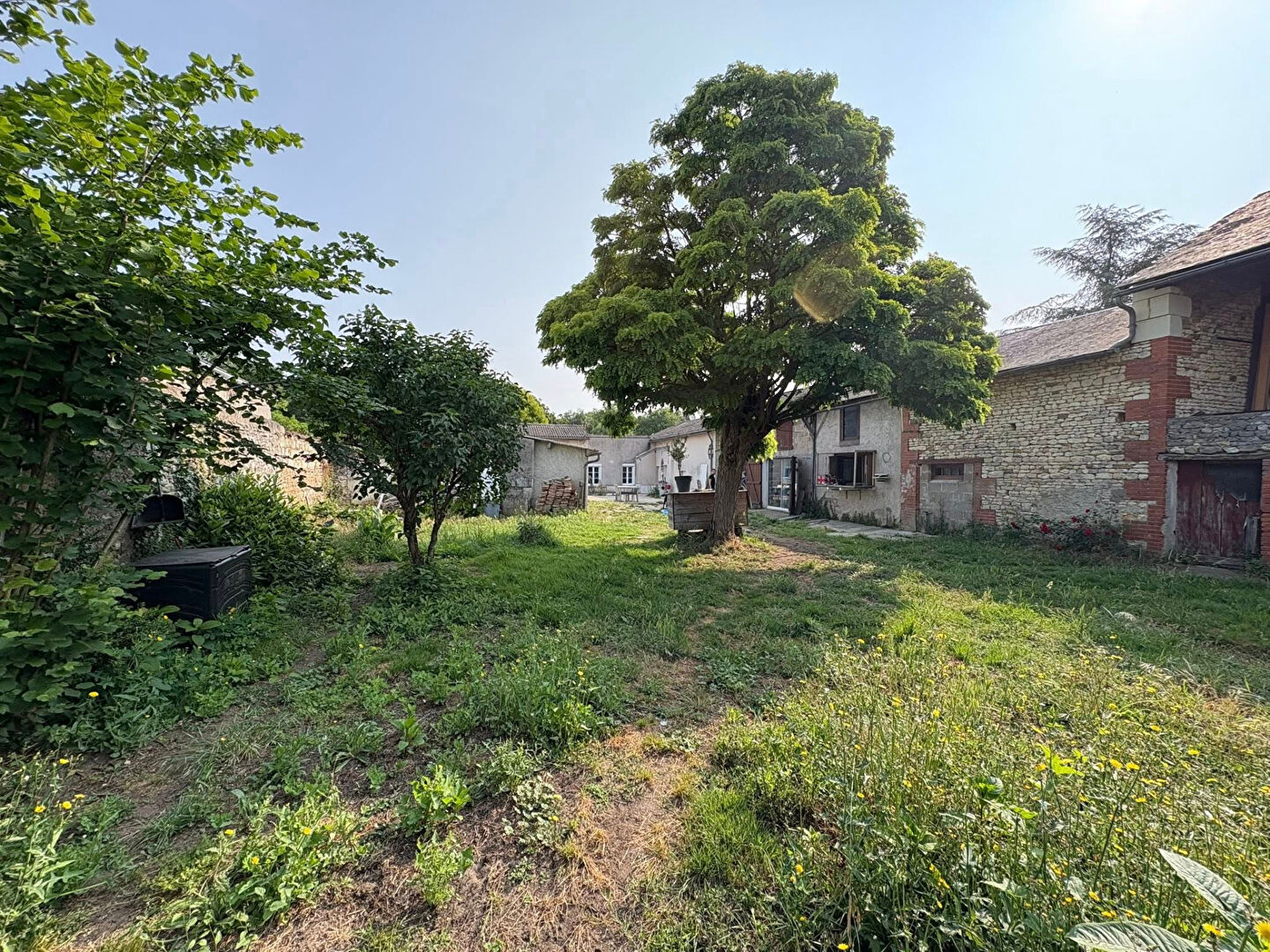 Agence immobilière de ERA BUY & SELL