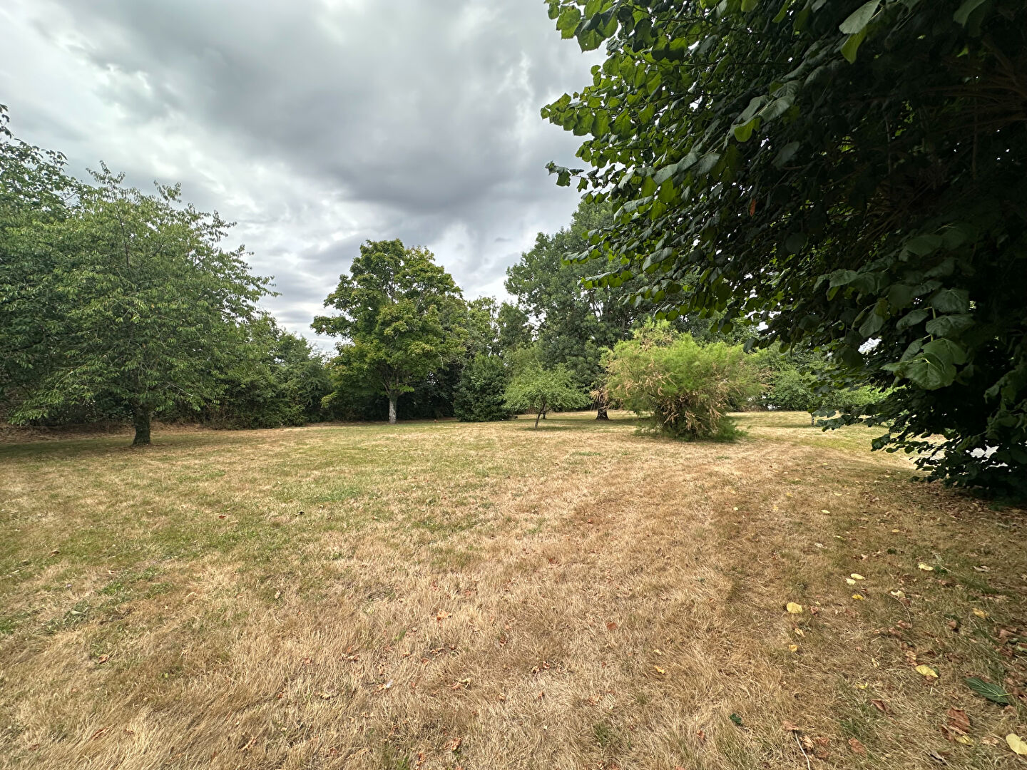 Agence immobilière de ERA BUY & SELL