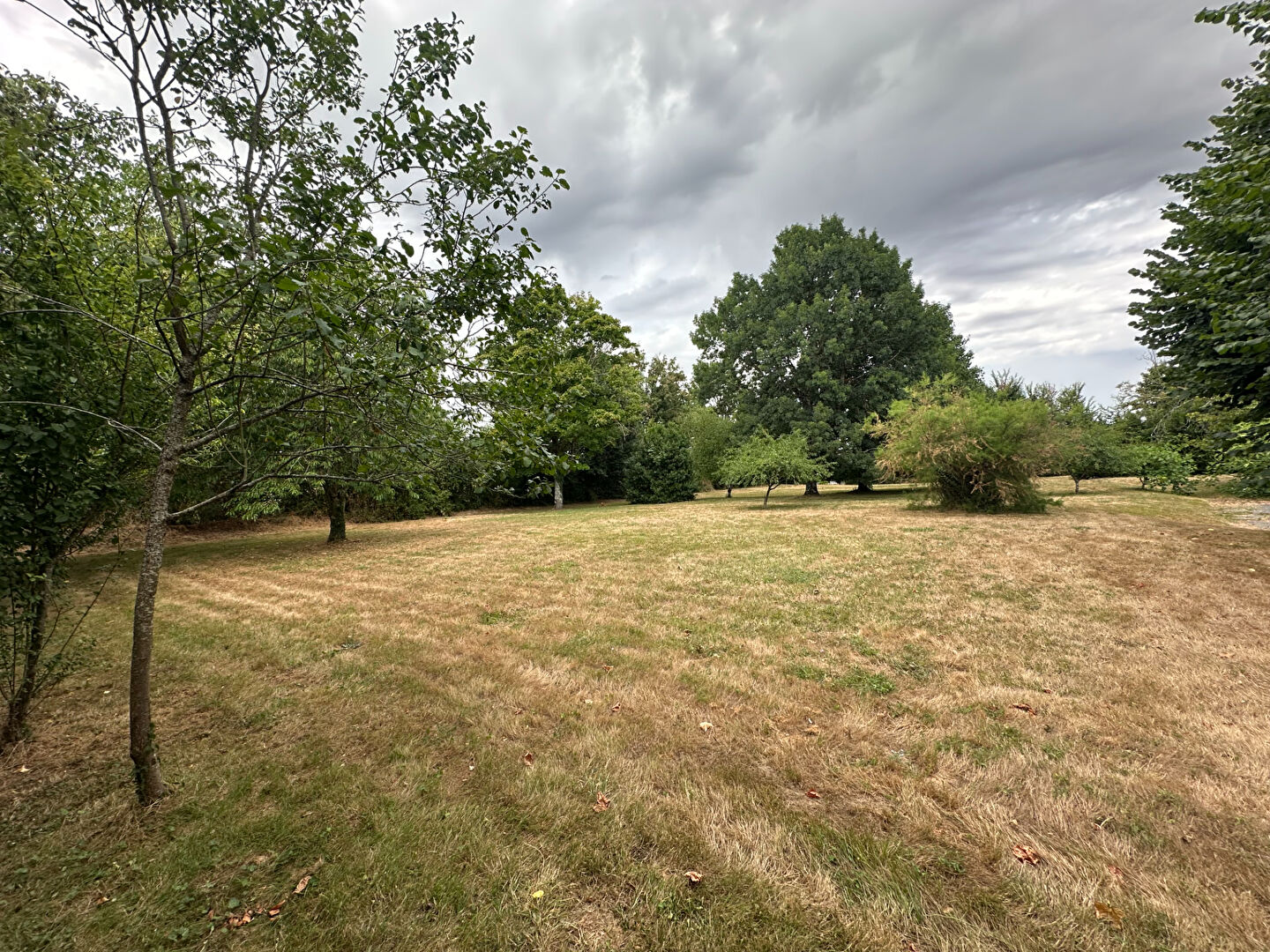 Agence immobilière de ERA BUY & SELL