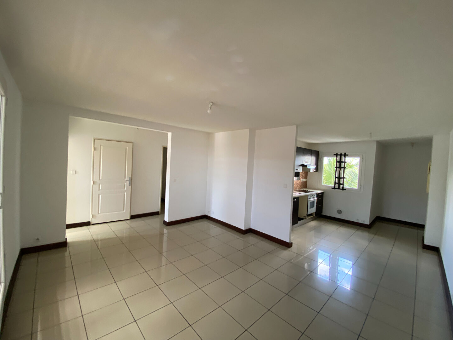 Agence immobilière de AUSTRAL IMMOBILIER TRANSACTION