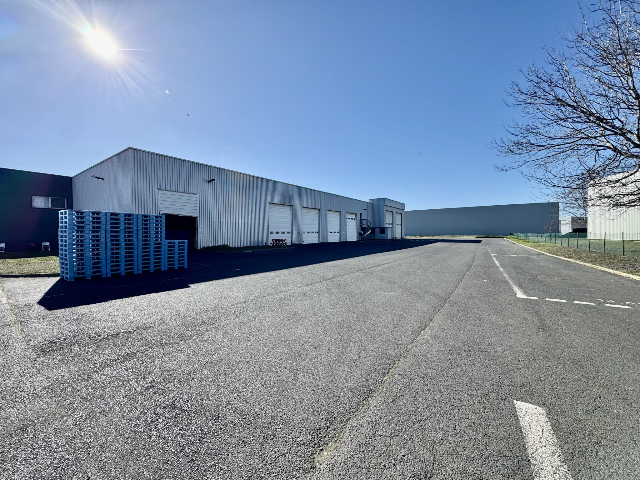 Agence immobilière de Alison PAQUET