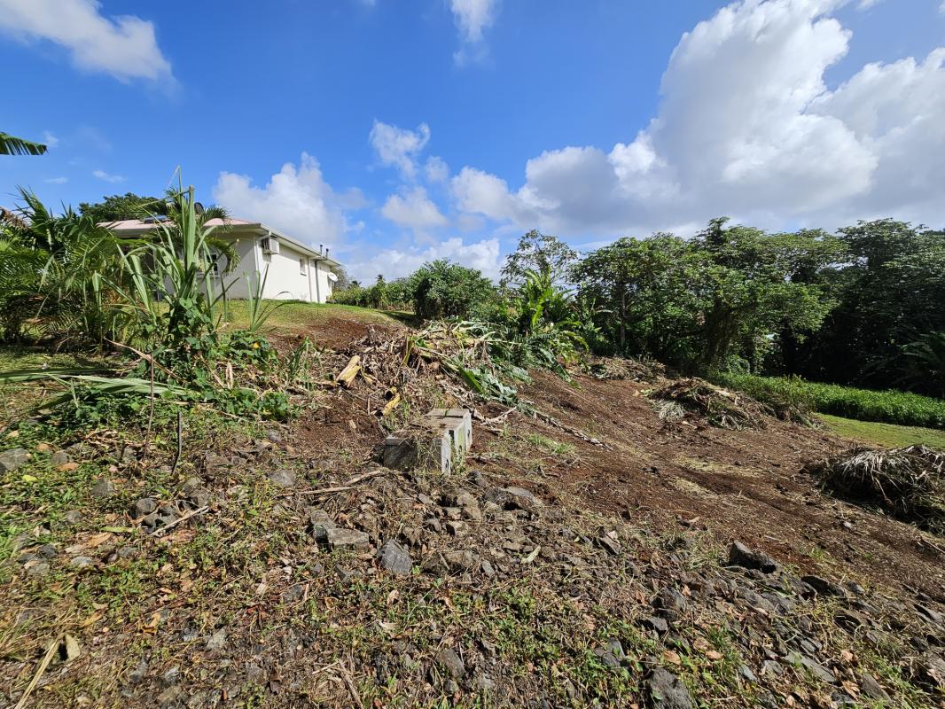 Agence immobilière de L'Équipe Immo