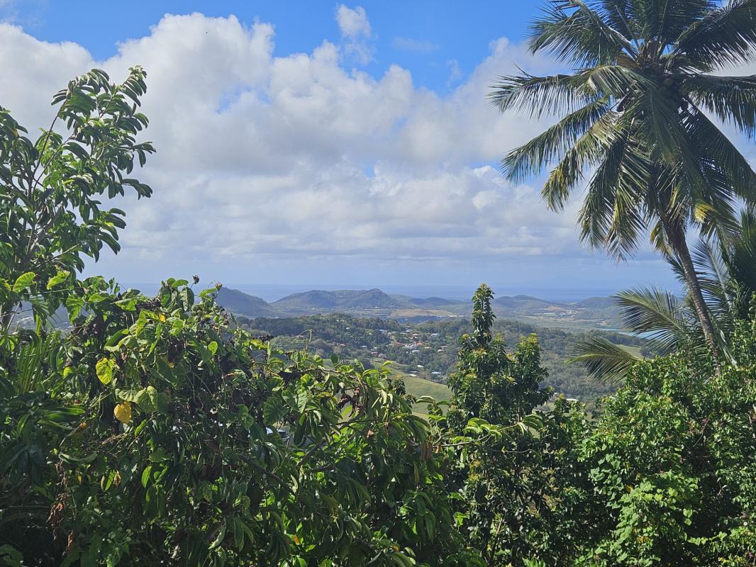 Agence immobilière de L'Équipe Immo