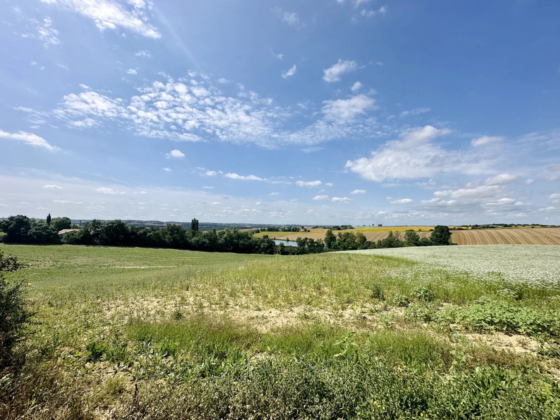 Agence immobilière de L'Équipe Immo