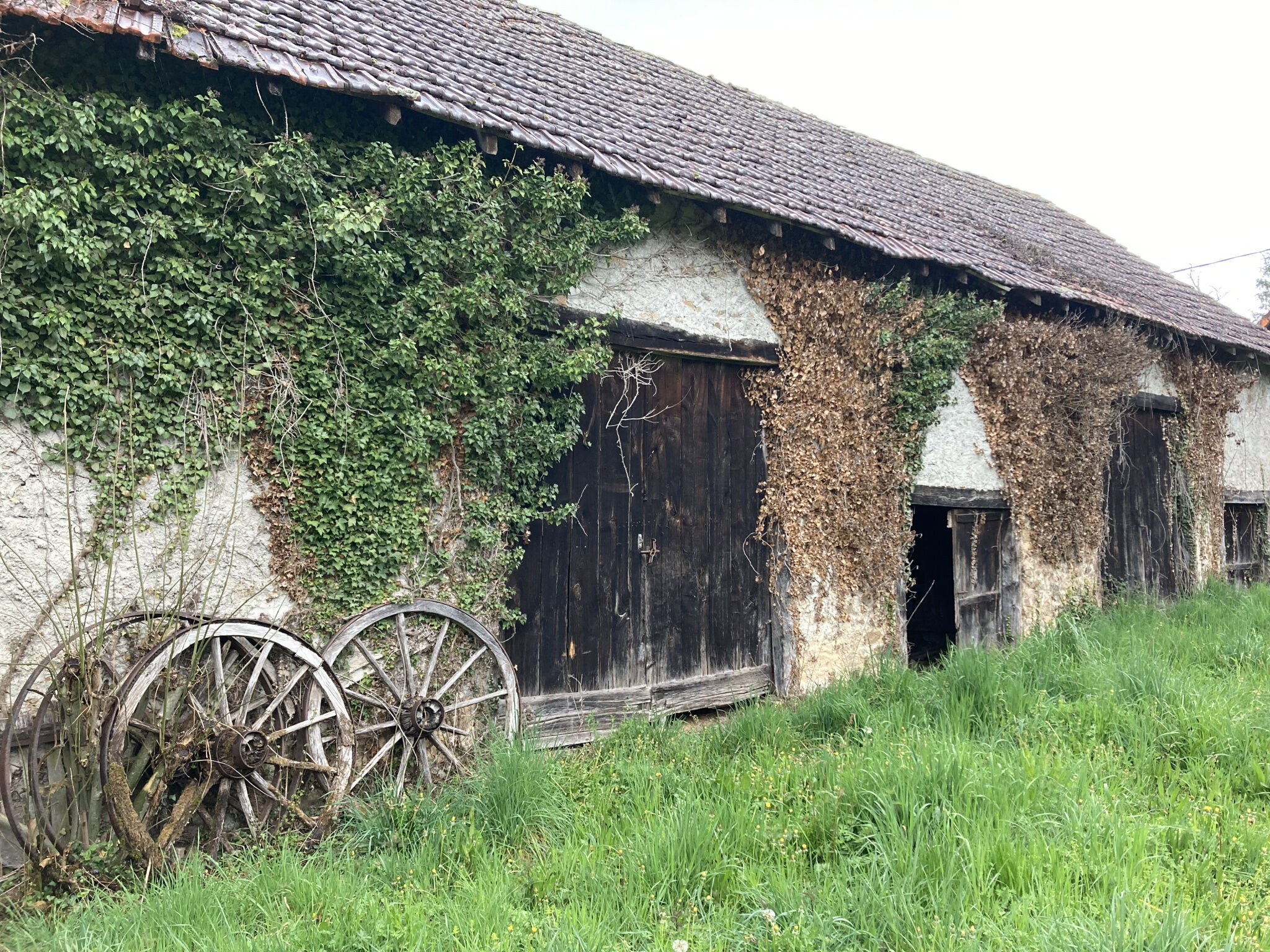 Agence immobilière de Version Patrimoine Tulle