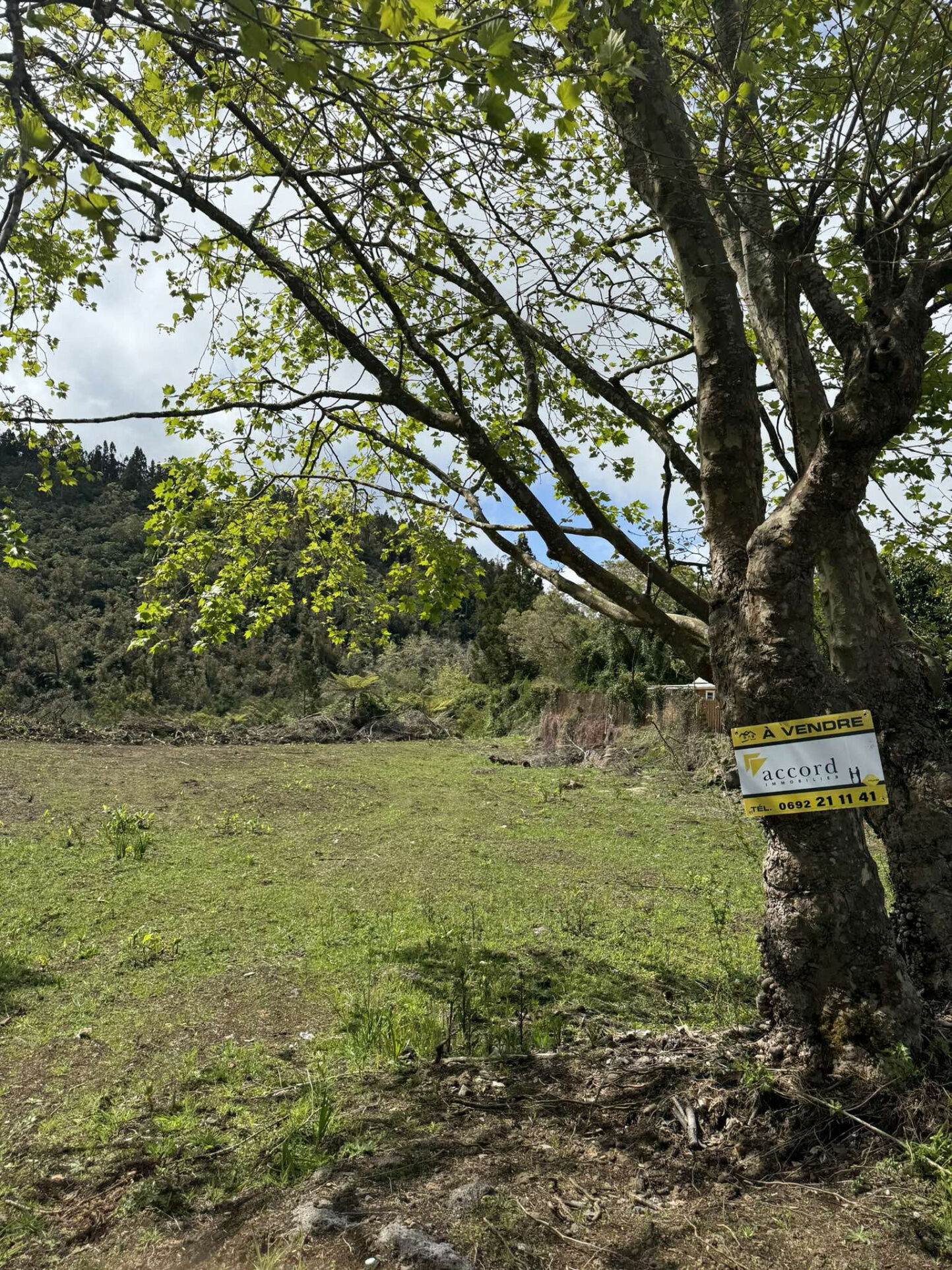 Agence immobilière de LAMY Nelly