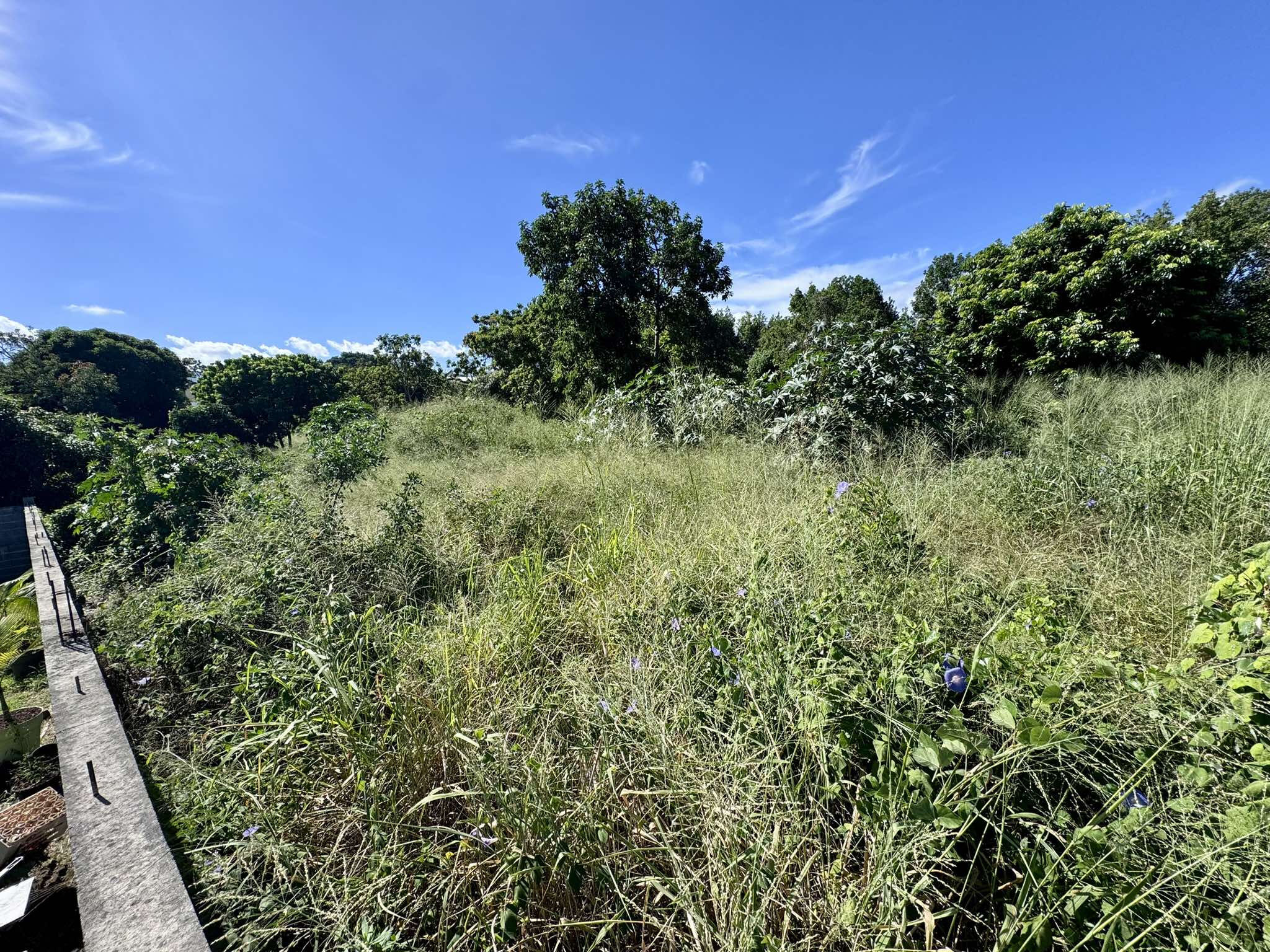 Agence immobilière de LAMY Nelly