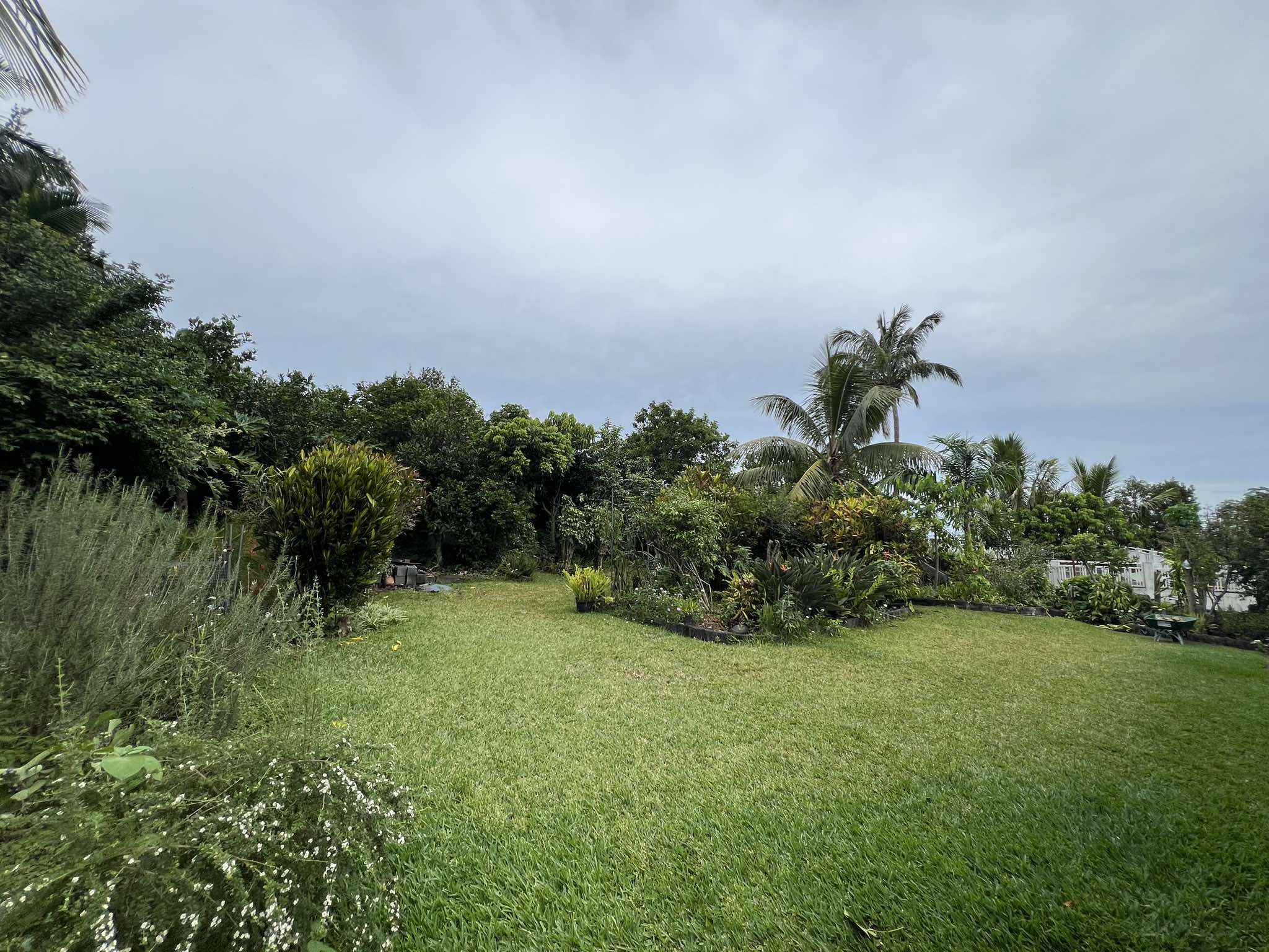 Agence immobilière de LAMY Nelly