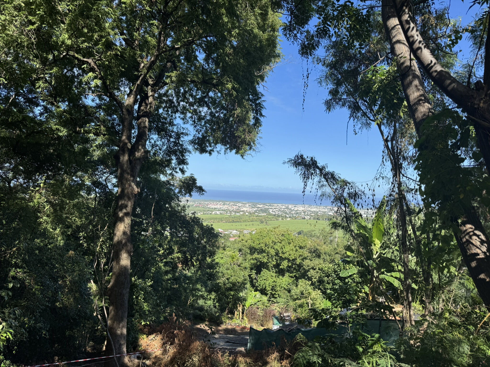 Agence immobilière de LAMY Nelly