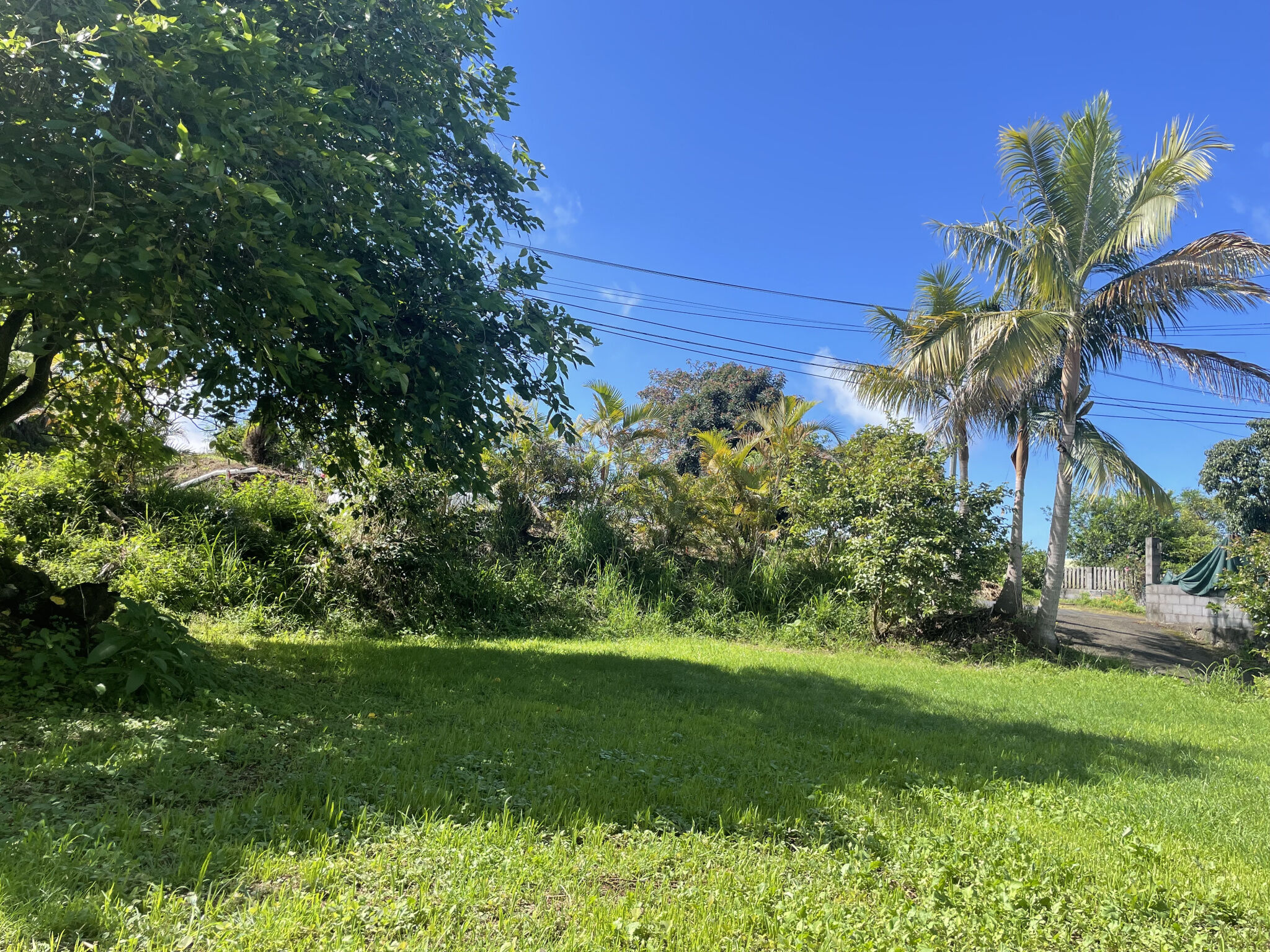 Agence immobilière de LAMY Nelly