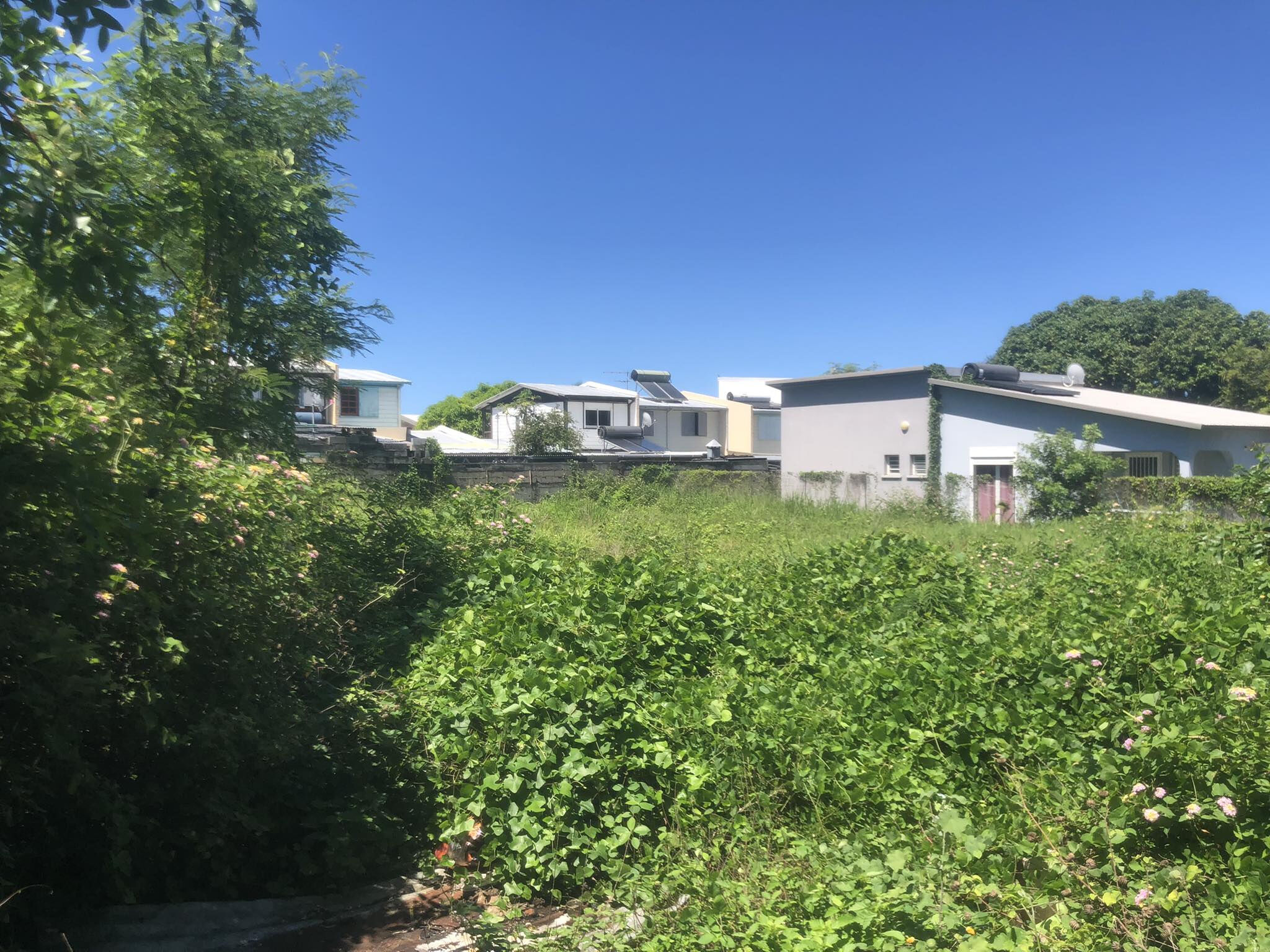 Agence immobilière de LAMY Nelly