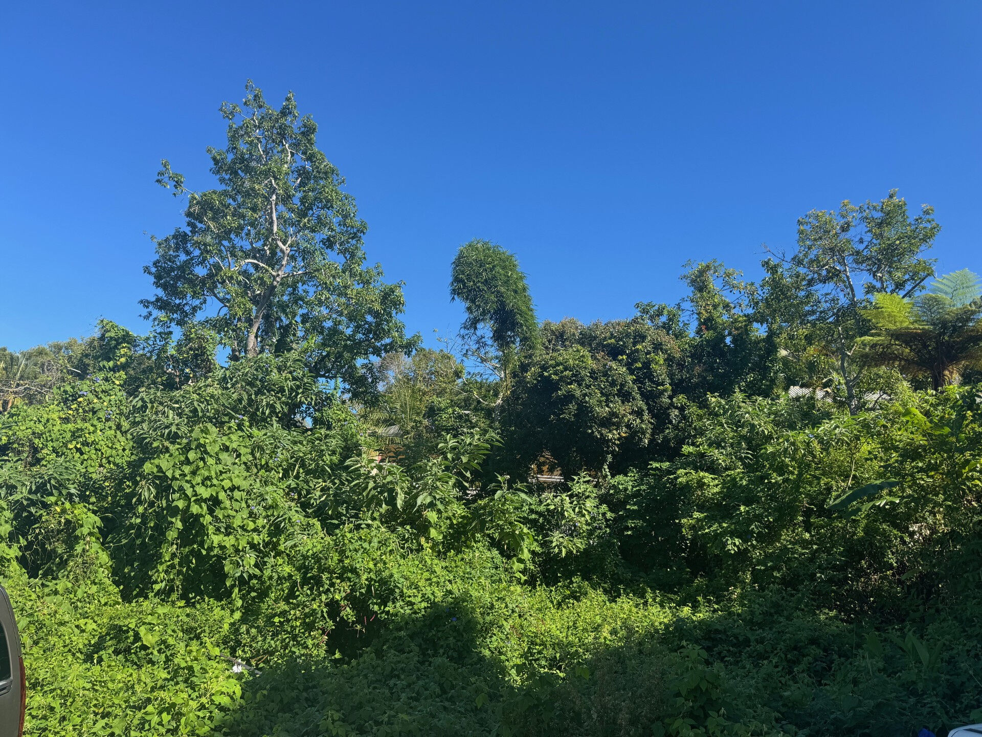 Agence immobilière de LAMY Nelly