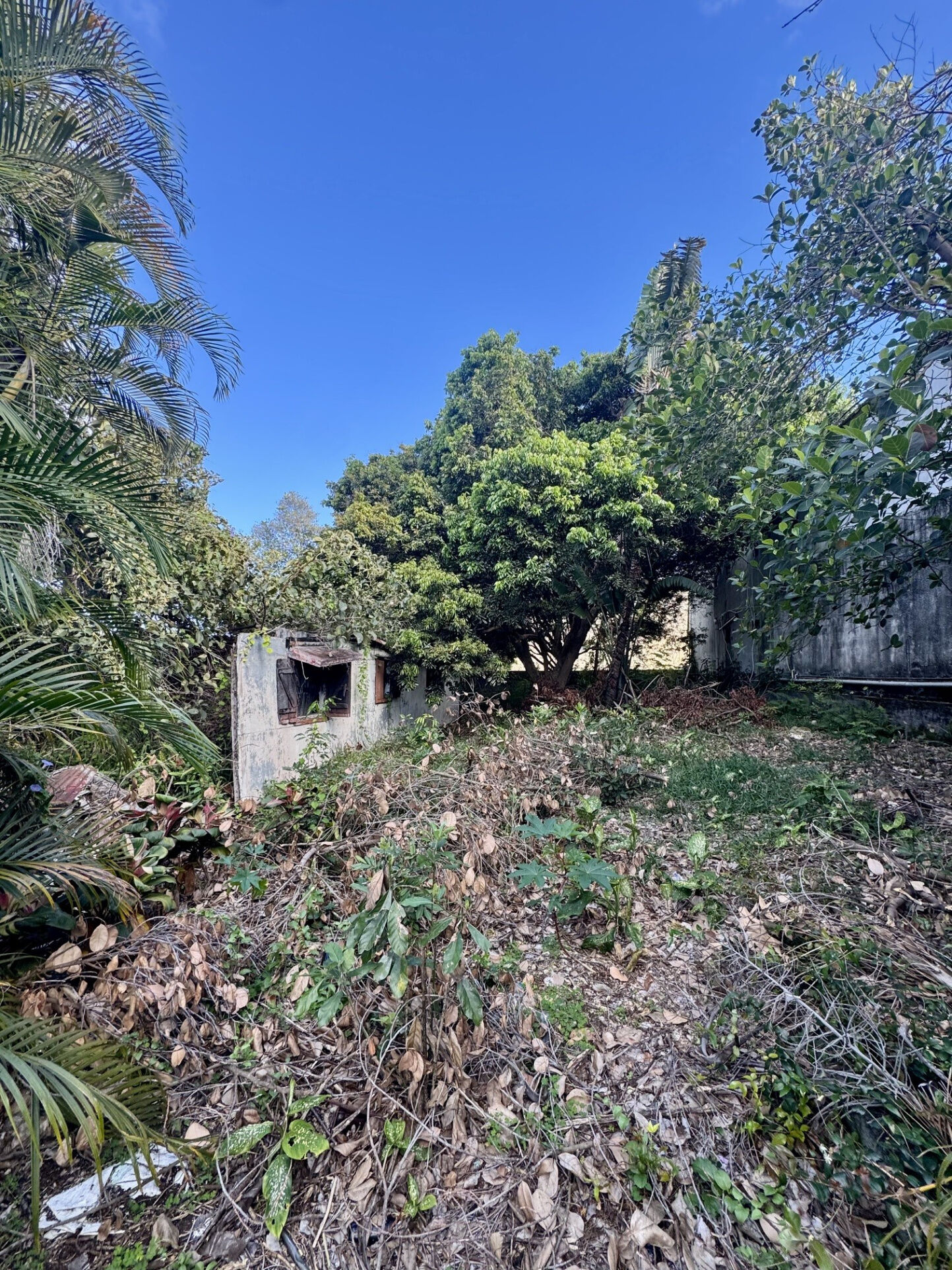 Agence immobilière de LAMY Nelly