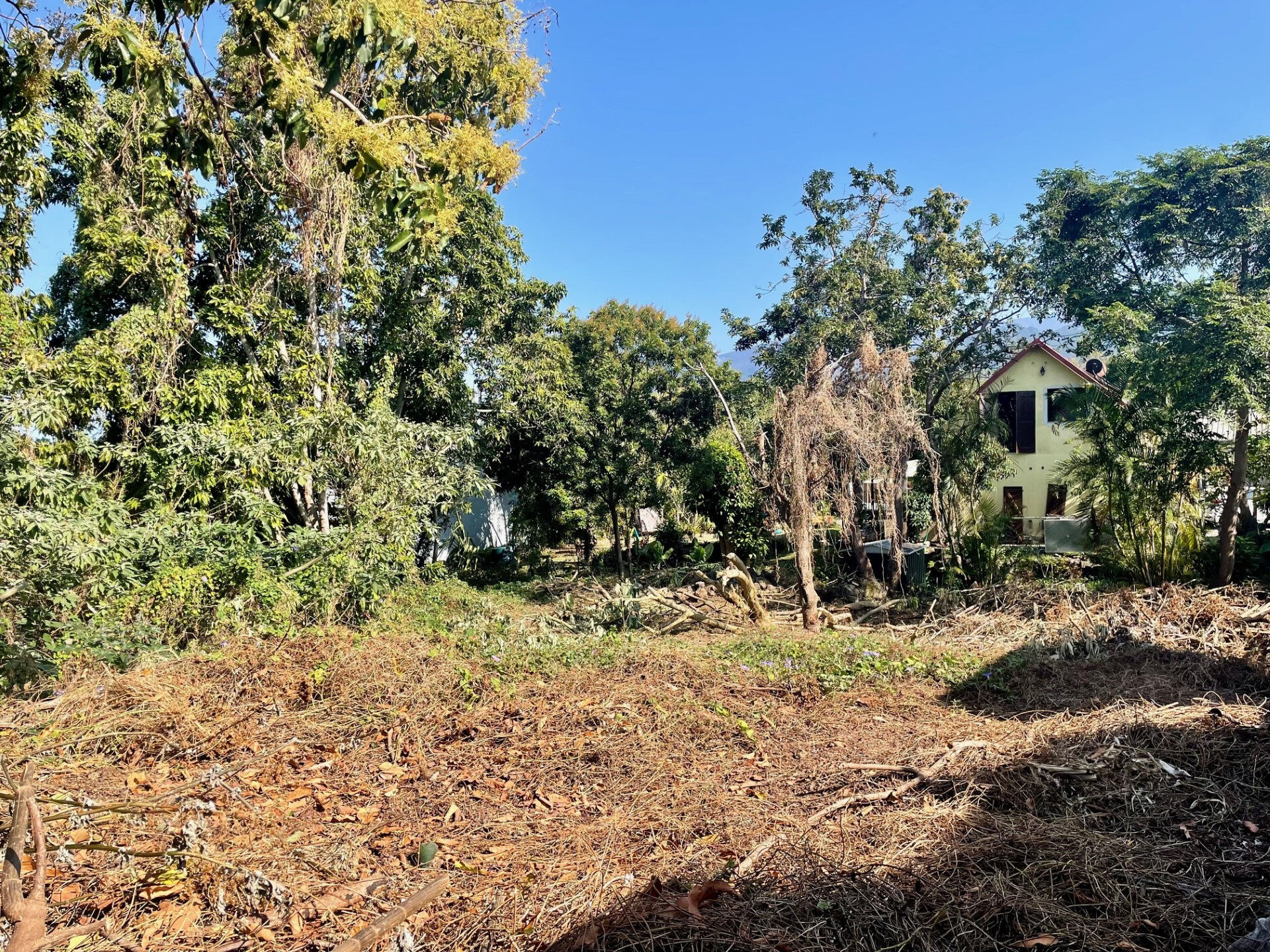 Agence immobilière de LAMY Nelly