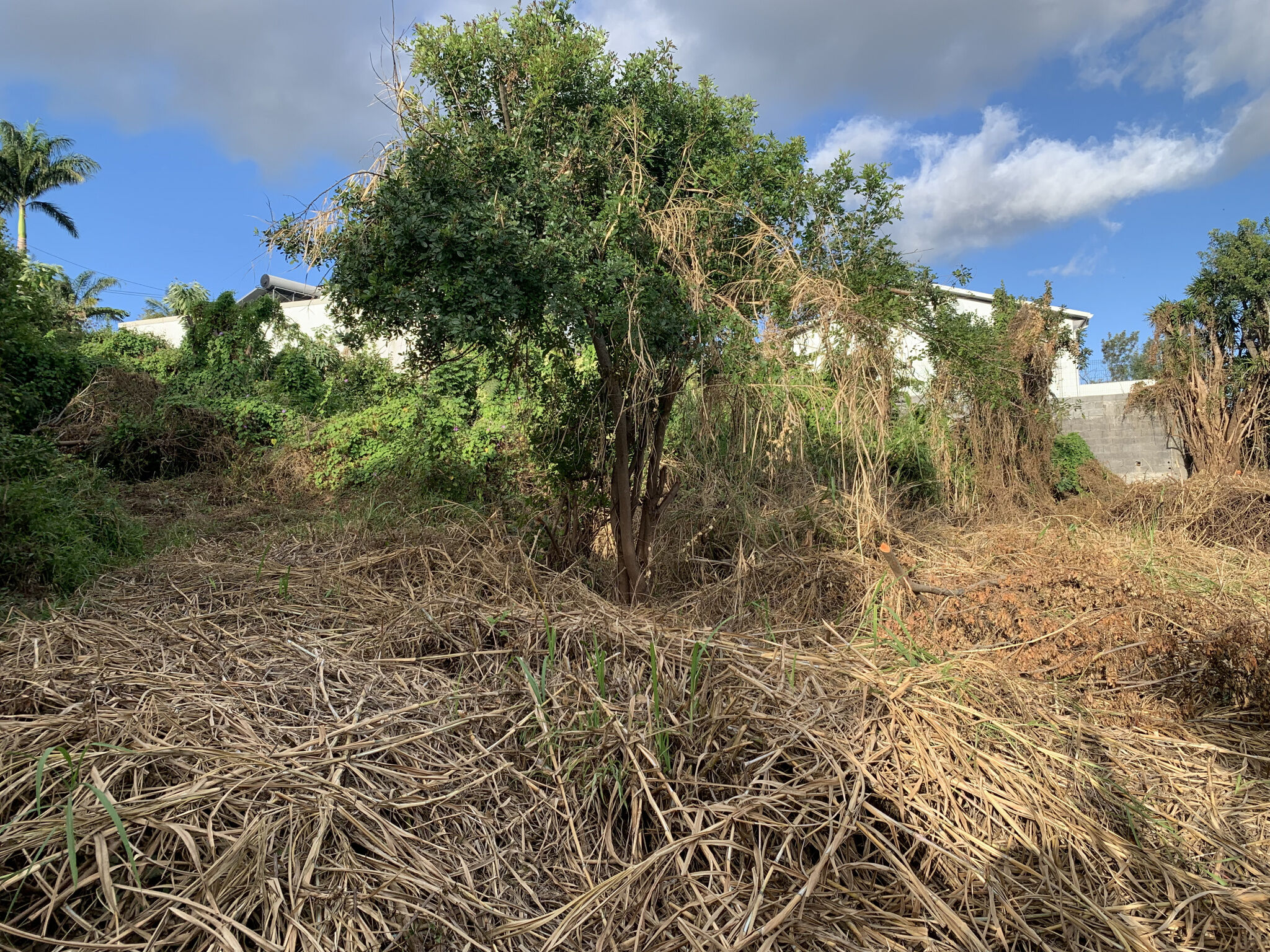 Agence immobilière de LAMY Nelly