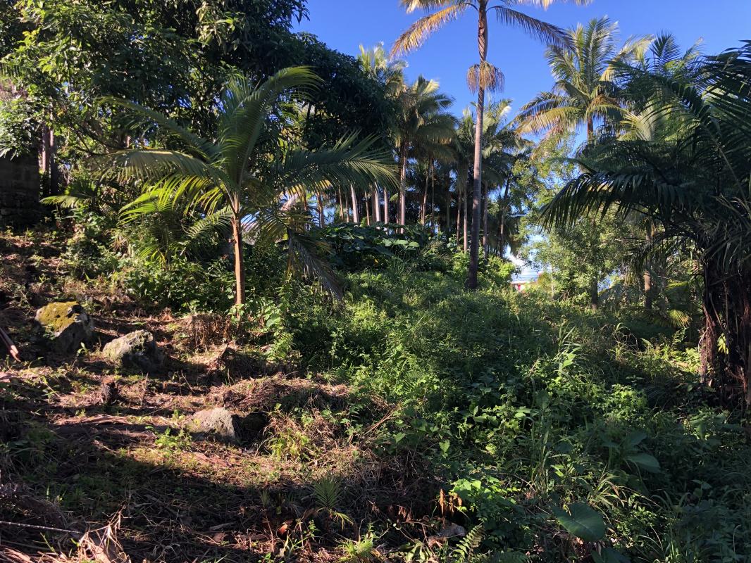 Agence immobilière de FONCIERE DE L OCEAN INDIEN