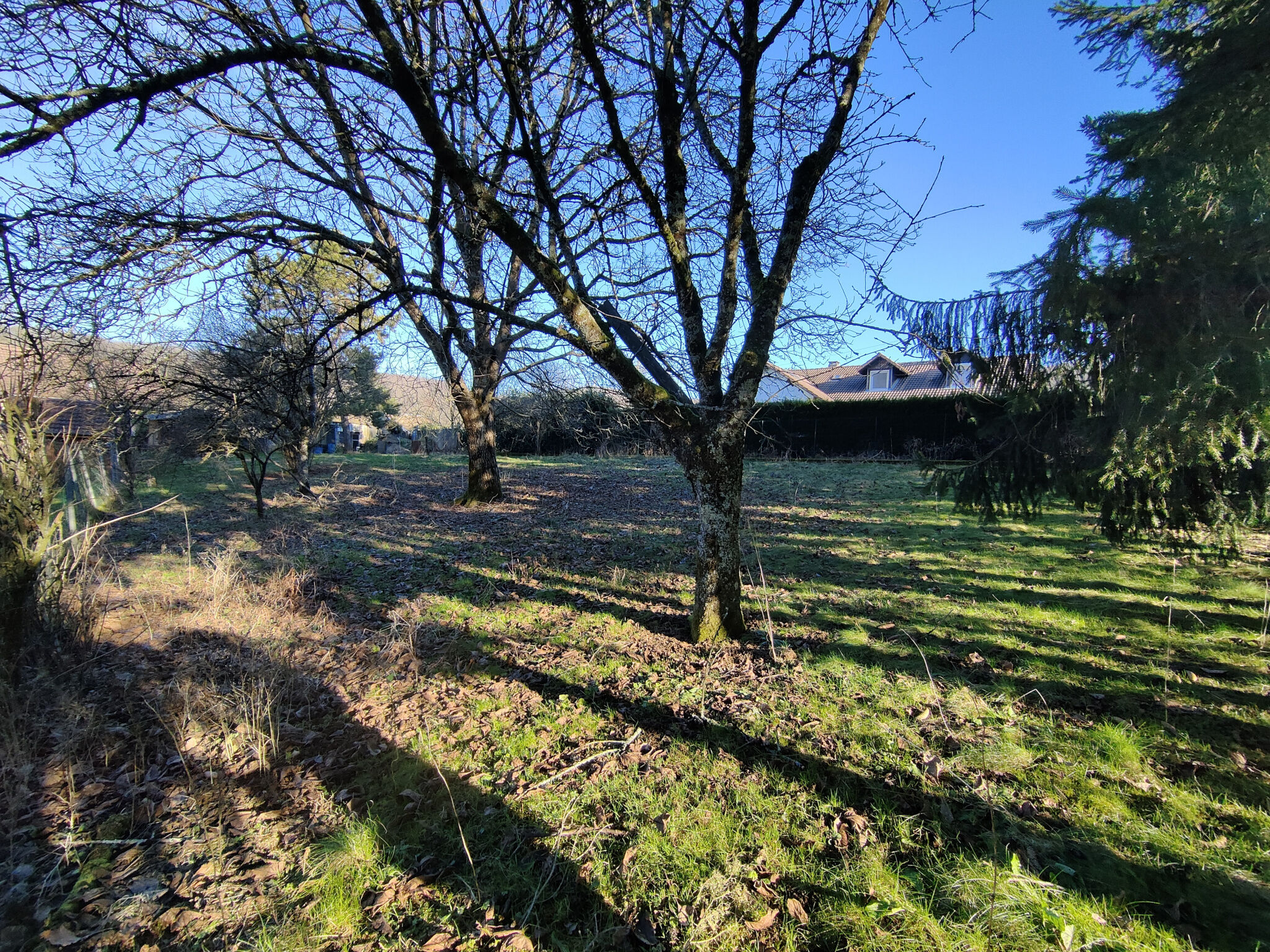 Agence immobilière de DAVAL Elodie