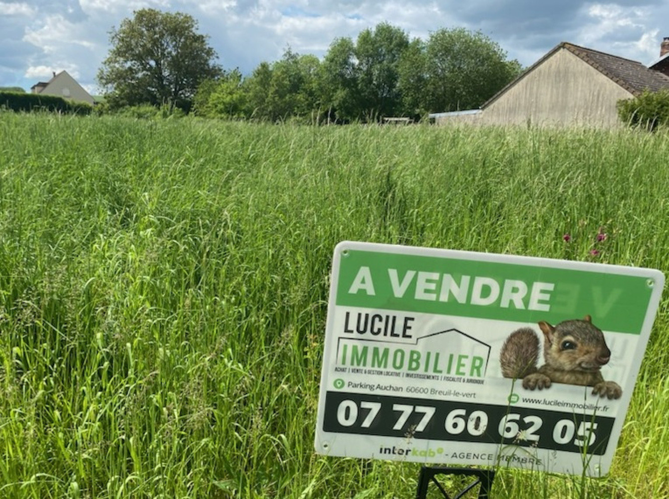 Agence immobilière de BARSI Alicia