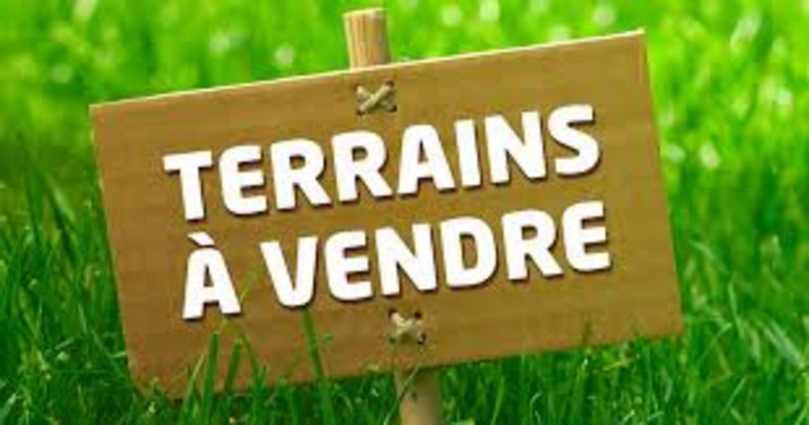 Agence immobilière de BARSI Alicia