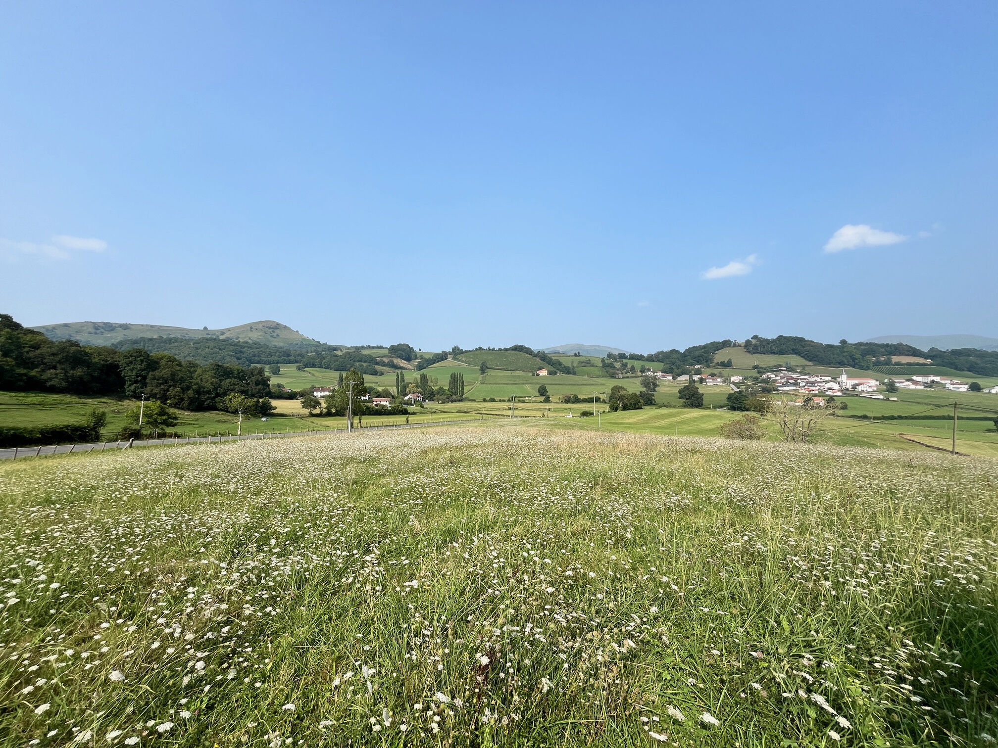Agence immobilière de ETCHEGOYEN Marie