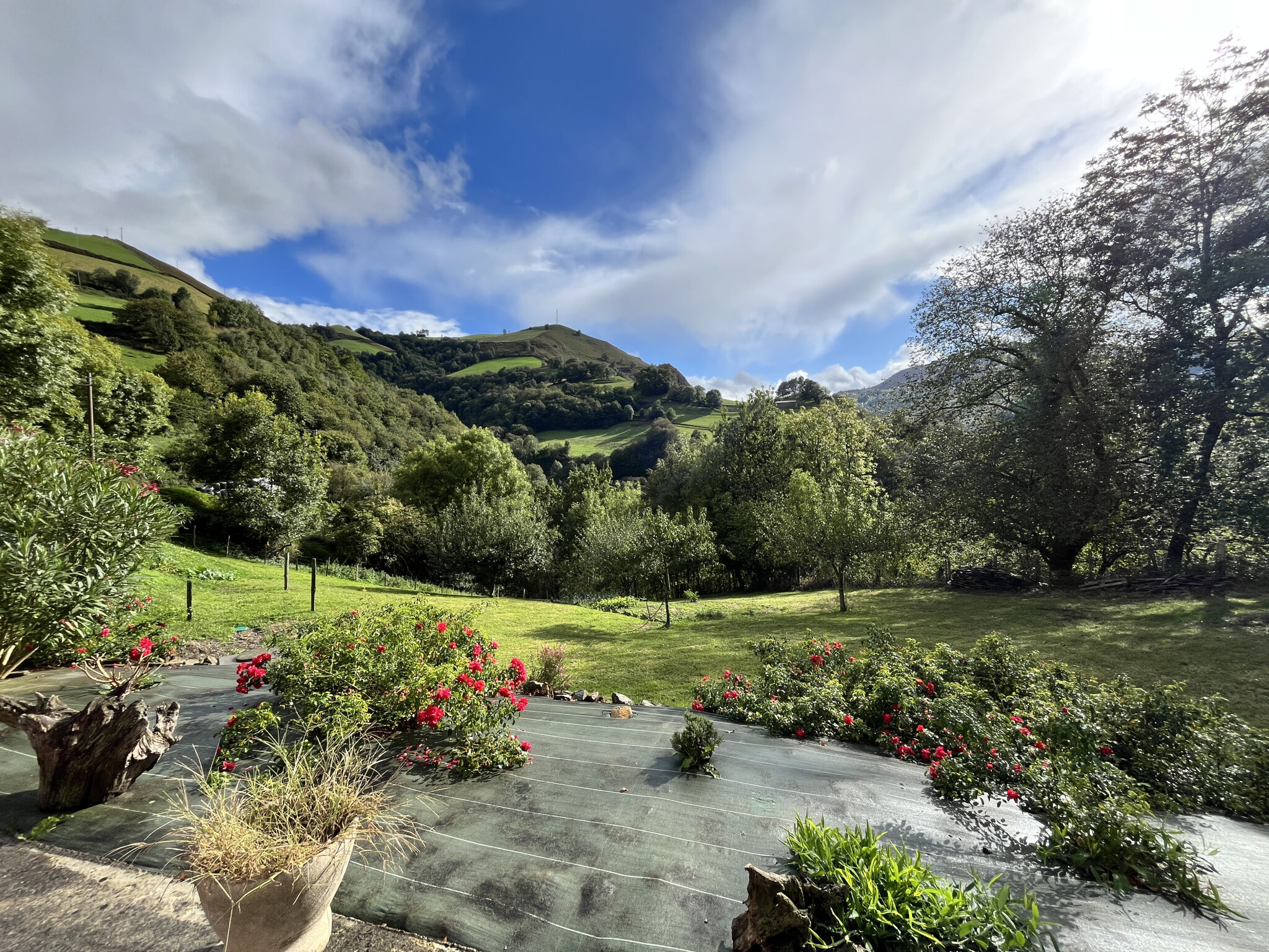 Agence immobilière de ETCHEGOYEN Marie