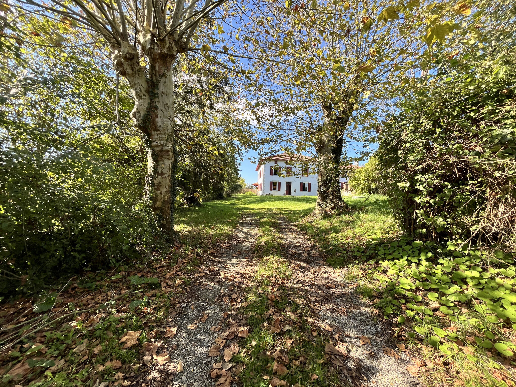 Agence immobilière de ETCHEGOYEN Marie