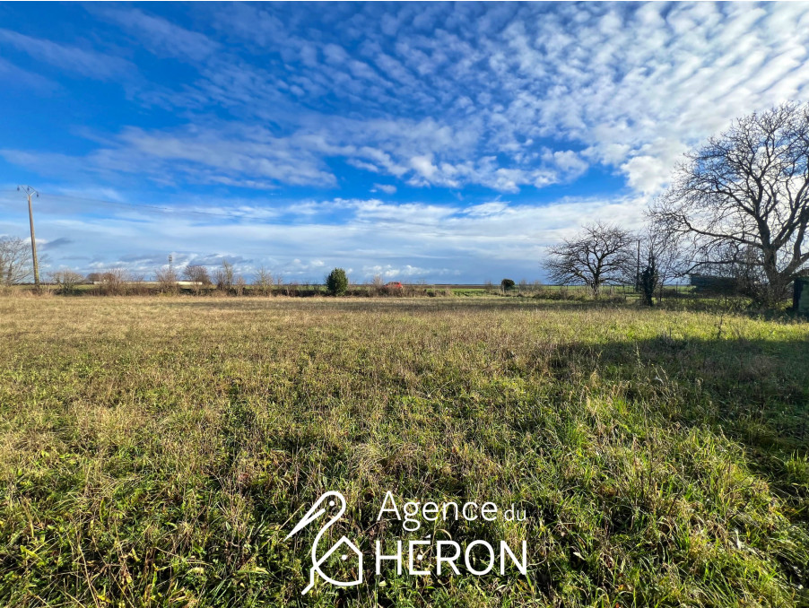Agence immobilière de AGENCE DU HERON