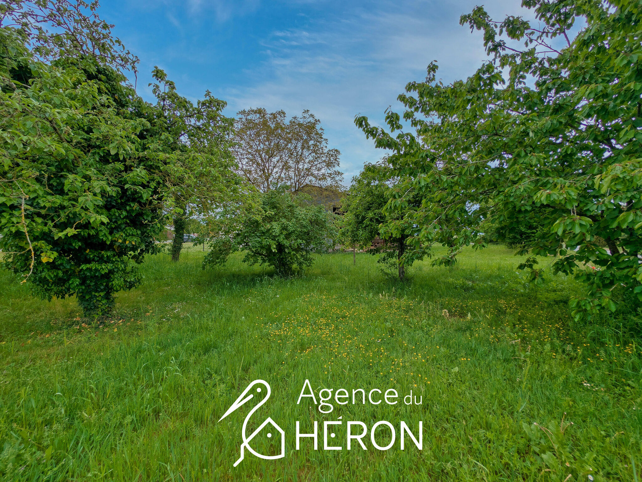 Agence immobilière de AGENCE DU HERON