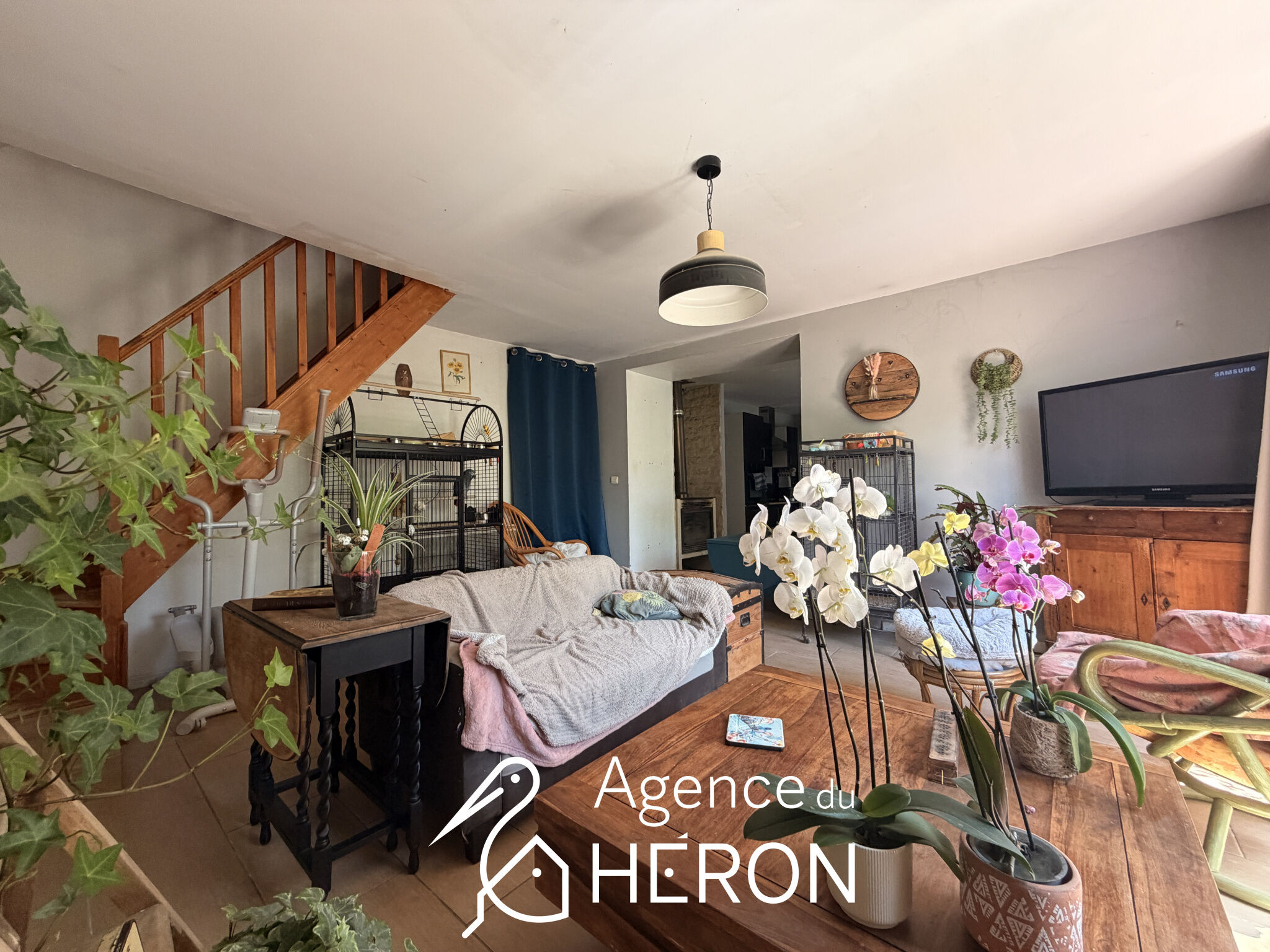 Agence immobilière de AGENCE DU HERON
