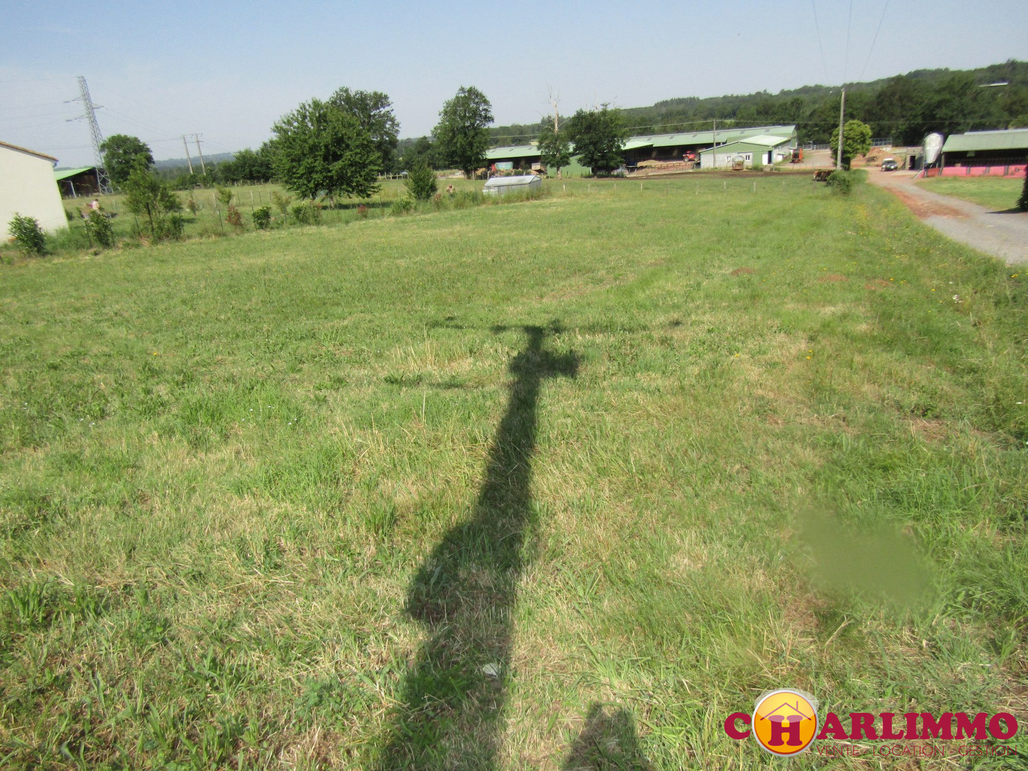 Agence immobilière de charlimmo